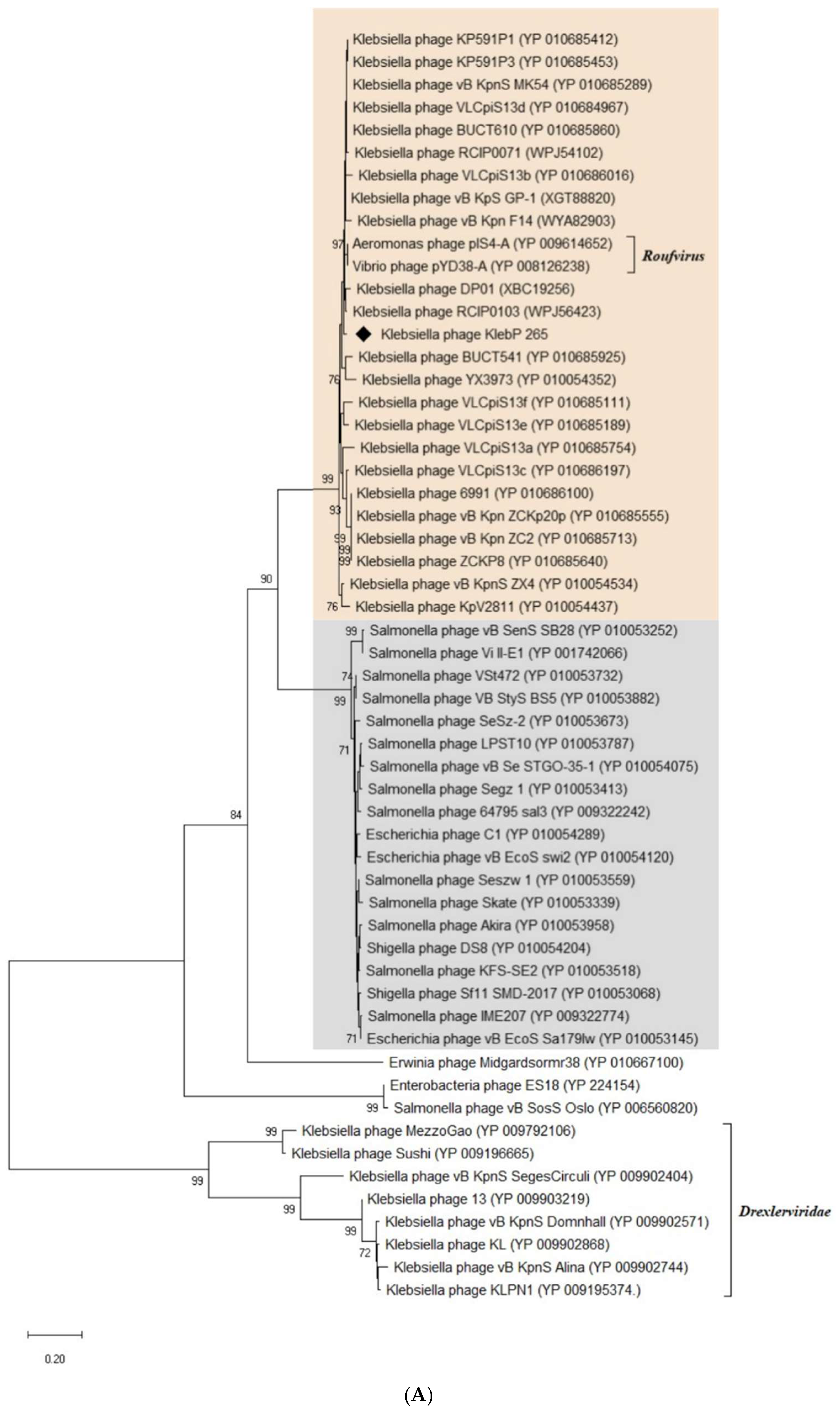 Viruses 17 00083 g008a