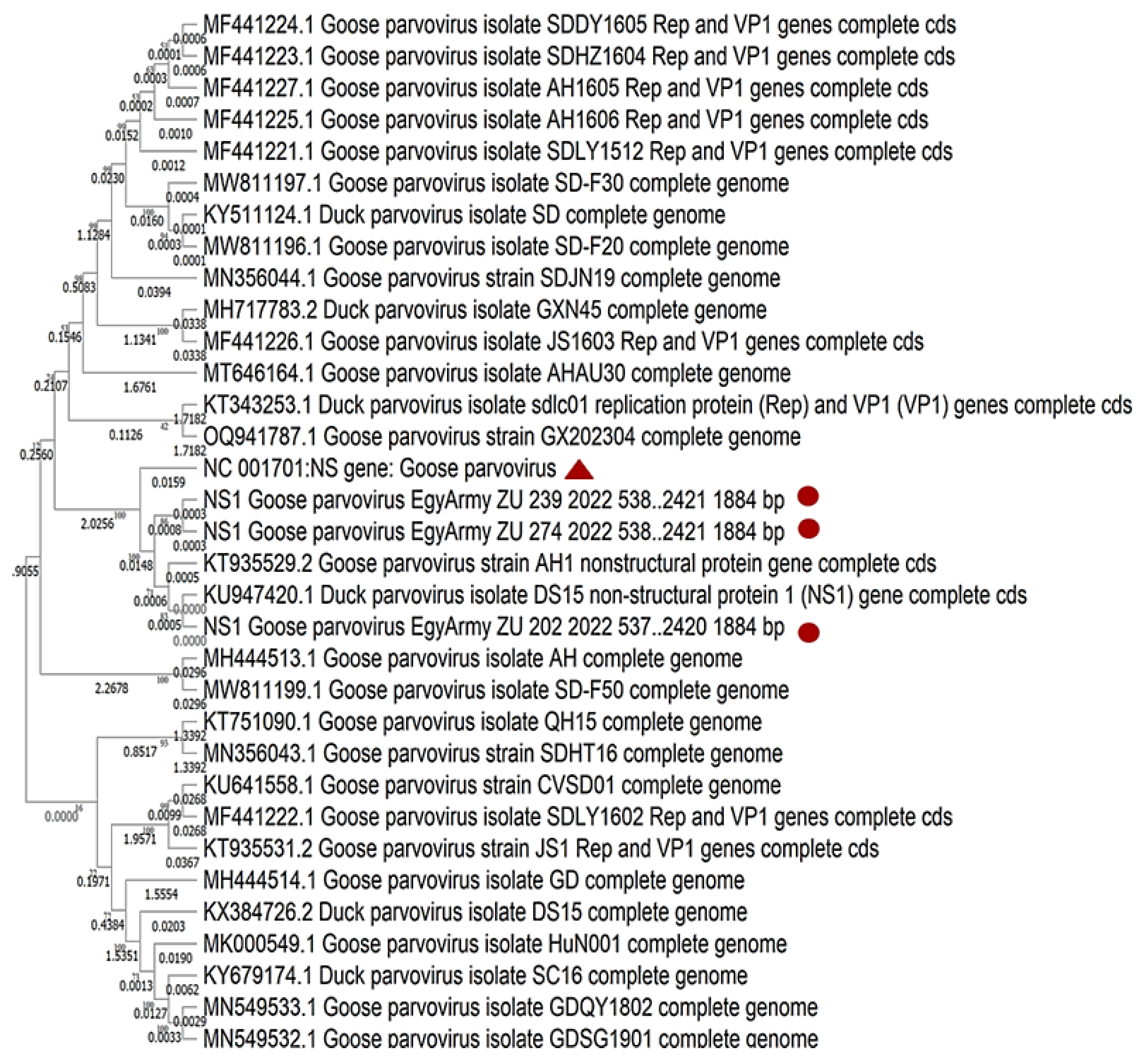 Viruses 17 00096 g010 Viruses 17 00096 g010