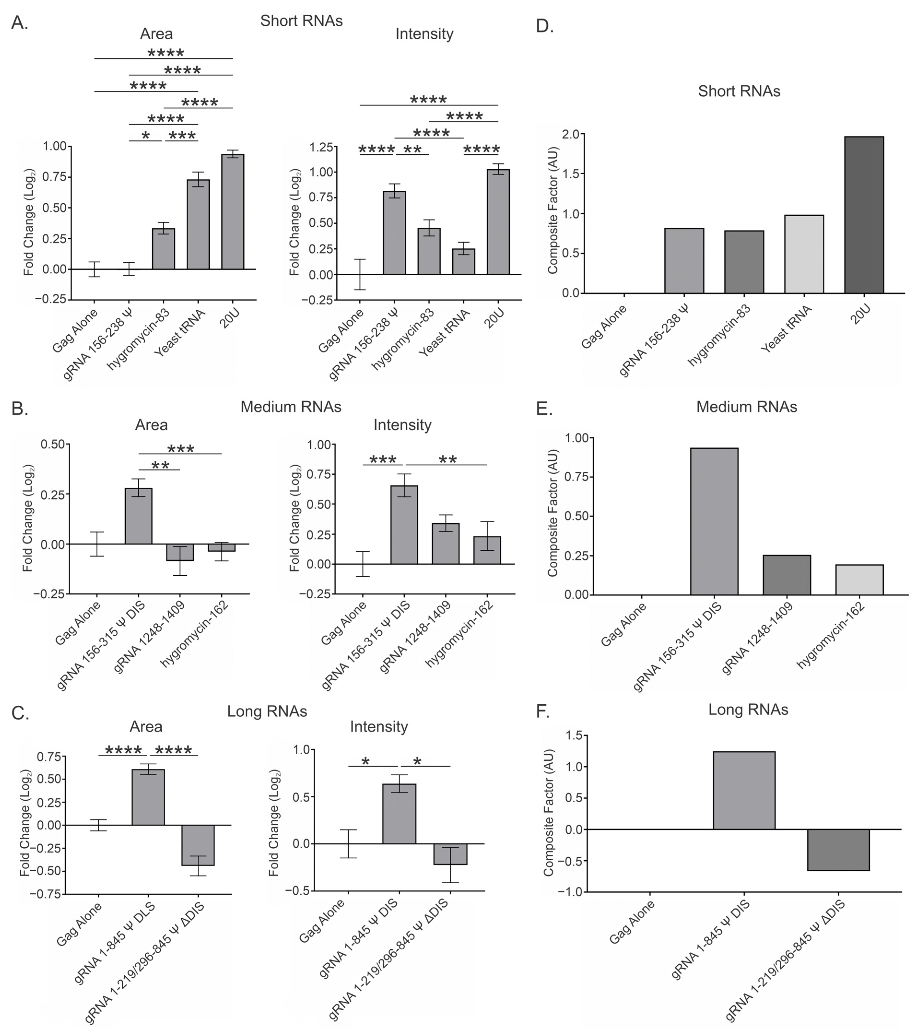 Viruses 17 00097 g005