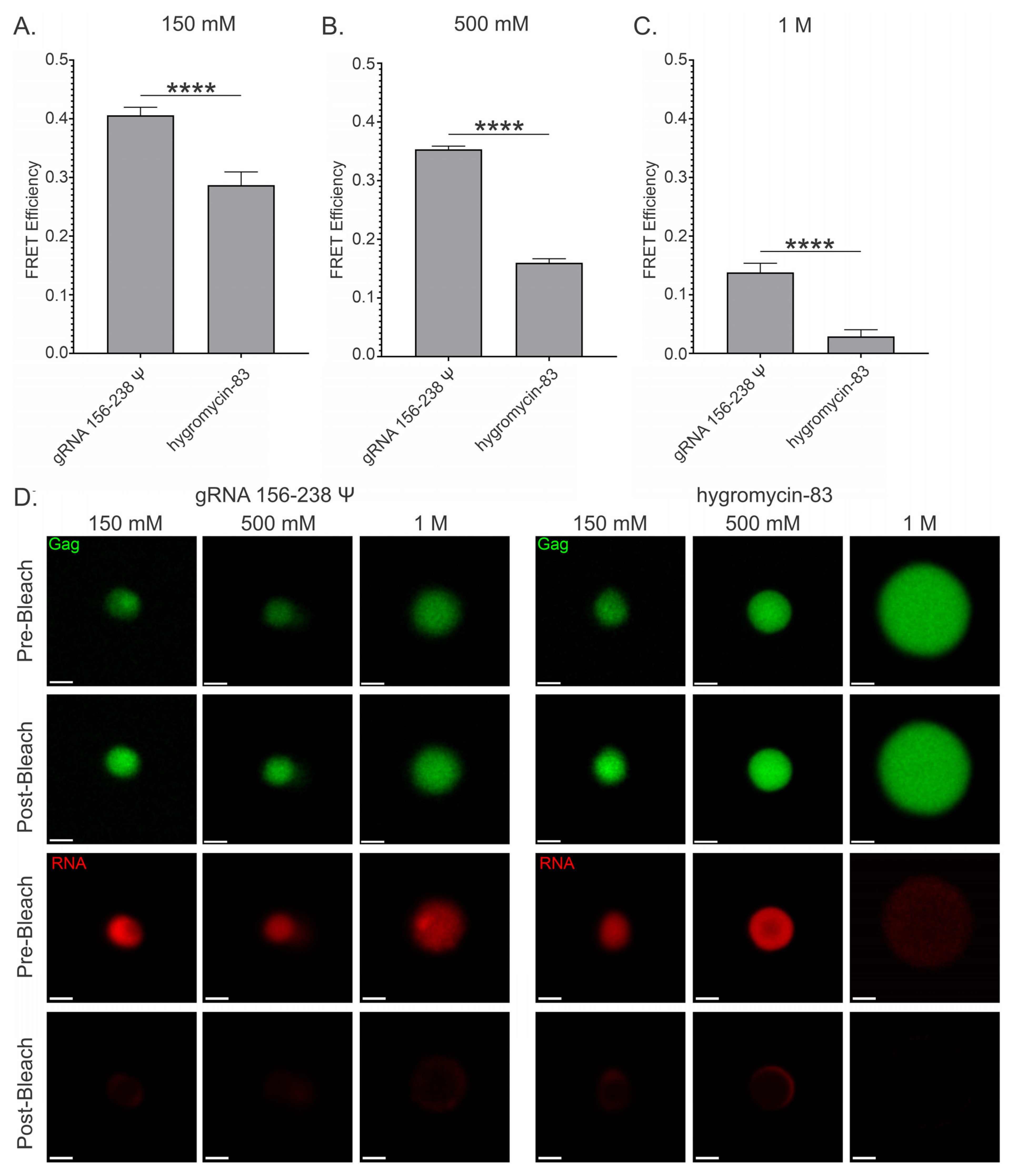 Viruses 17 00097 g010