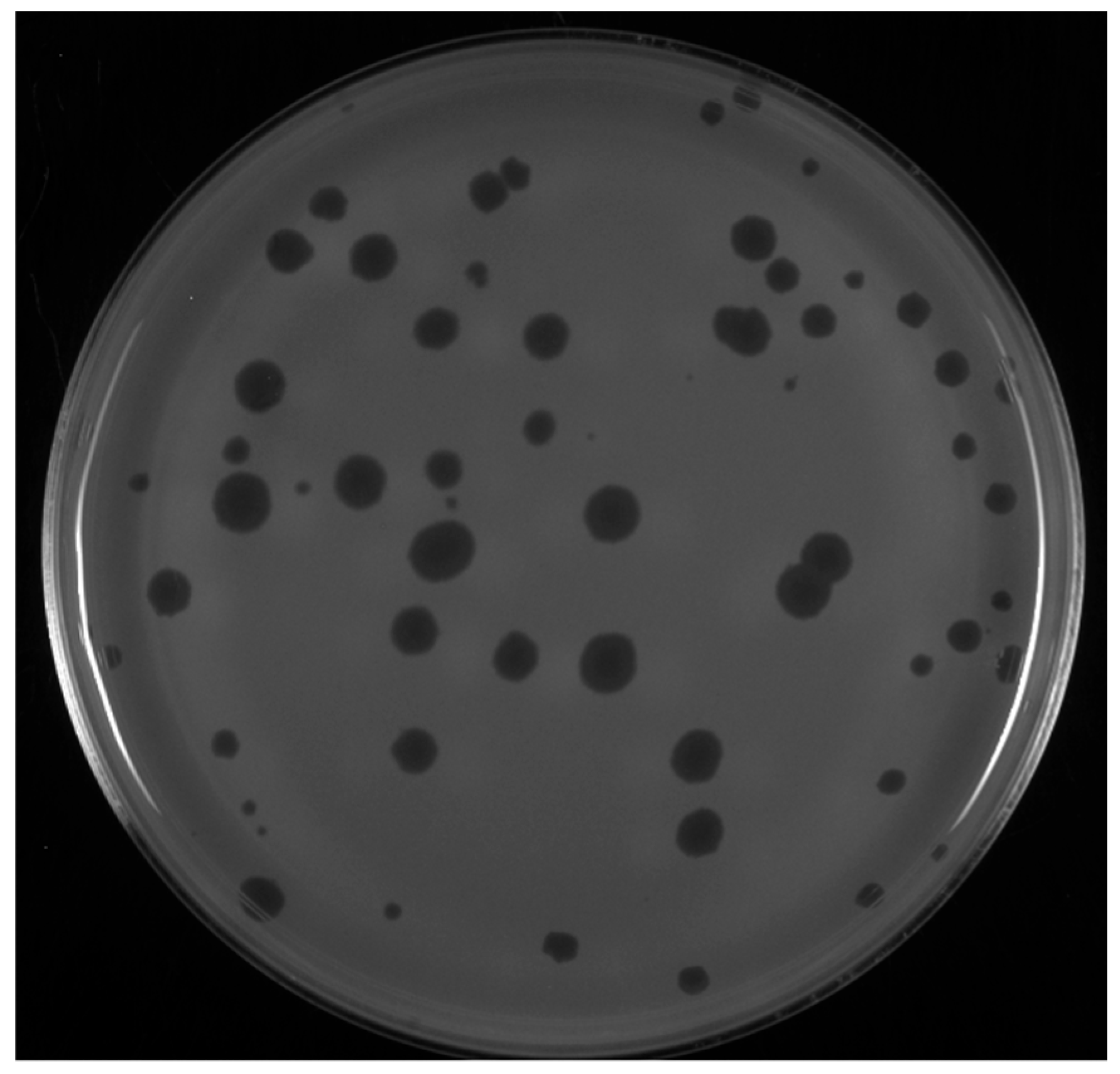 Viruses 17 00113 g001 Viruses 17 00113 g001