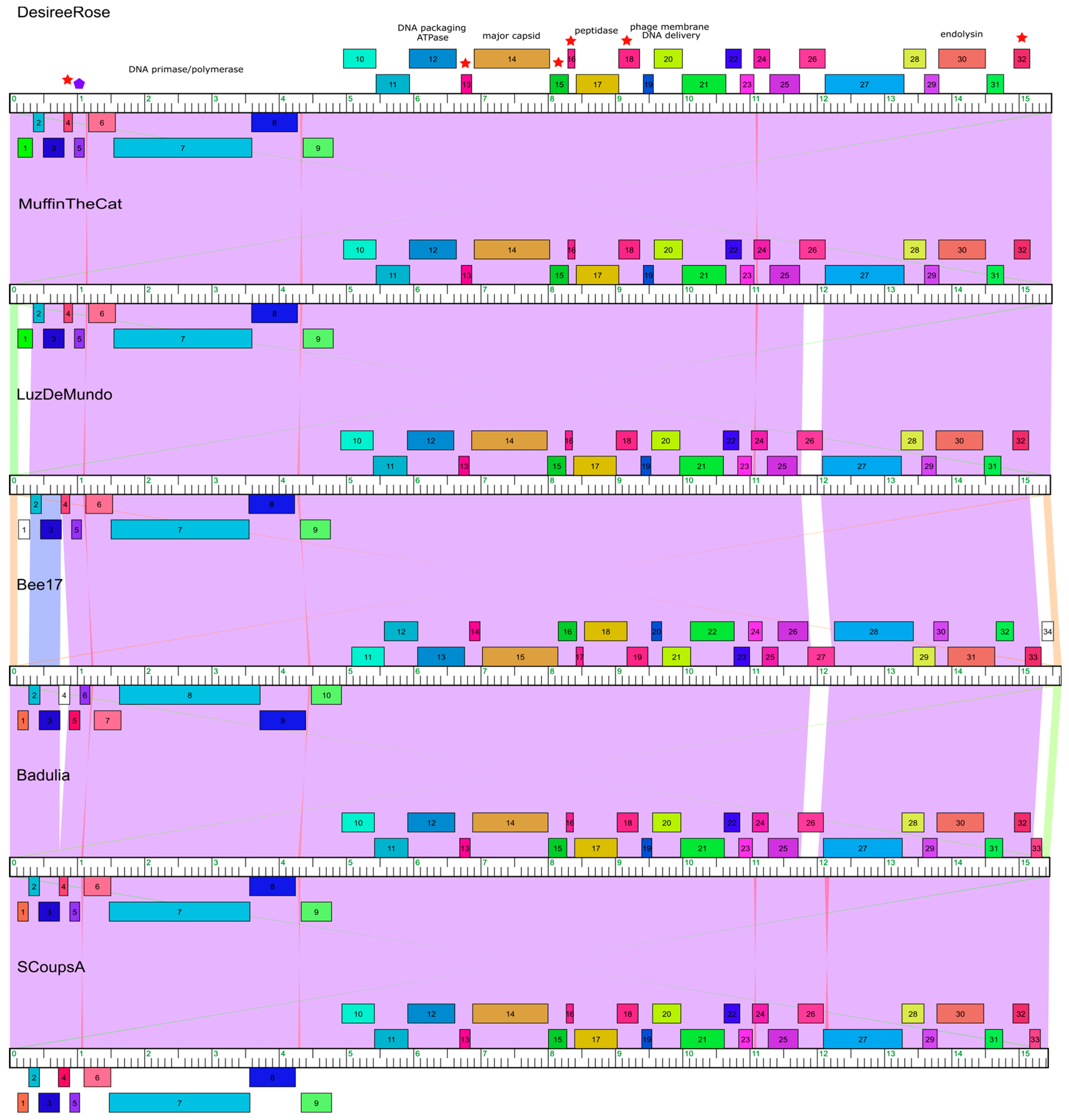 Viruses 17 00113 g004 Viruses 17 00113 g004