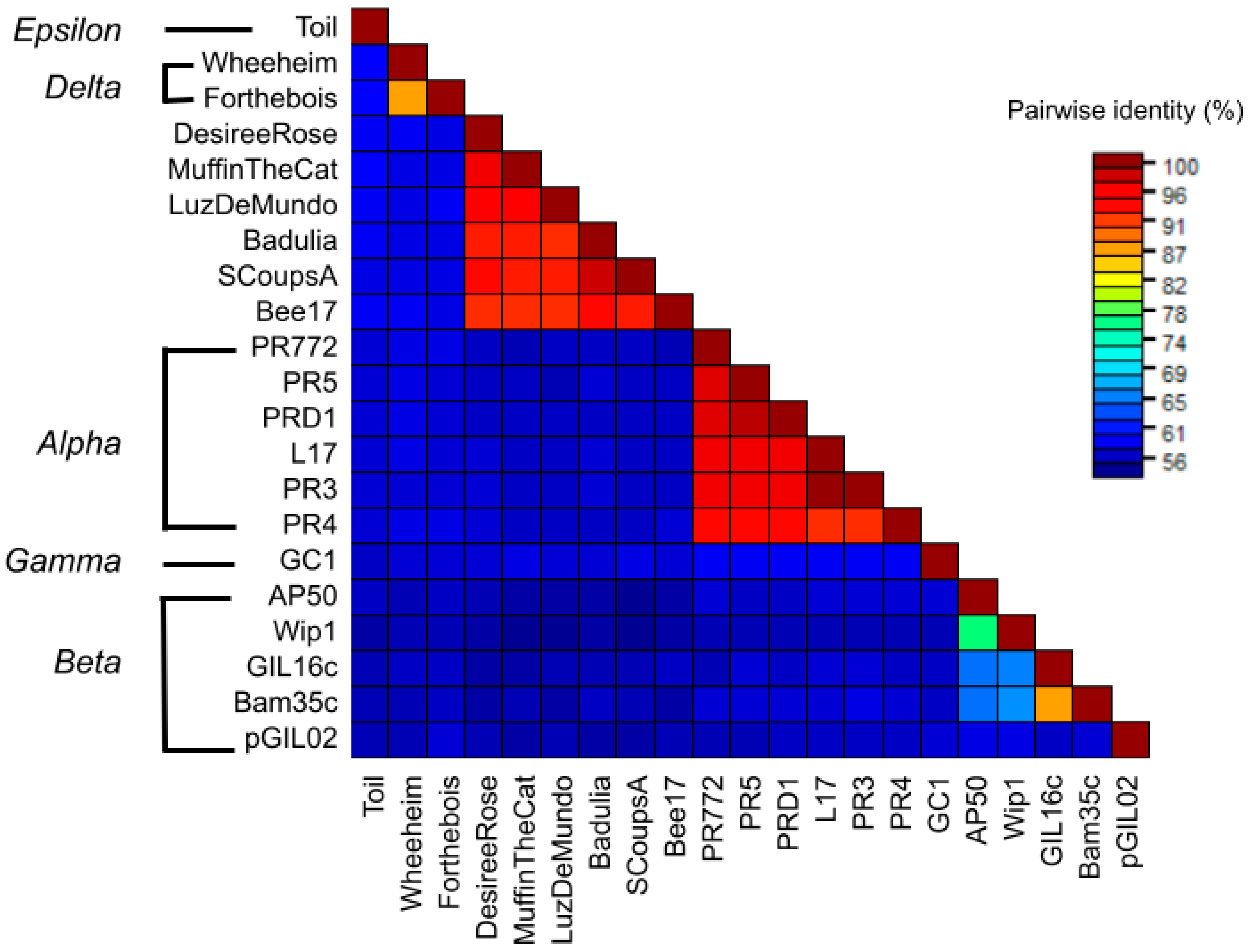 Viruses 17 00113 g006 Viruses 17 00113 g006
