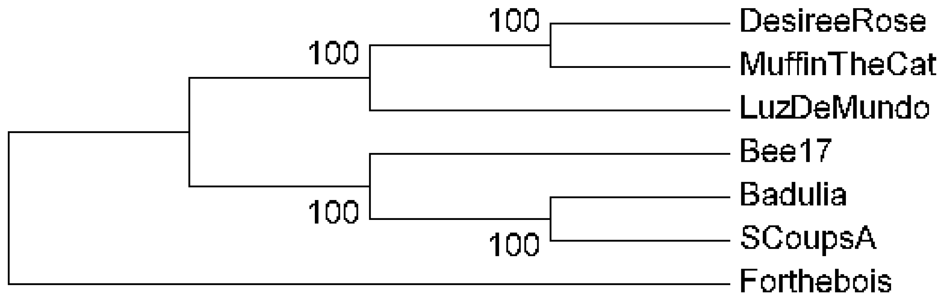 Viruses 17 00113 g007 Viruses 17 00113 g007