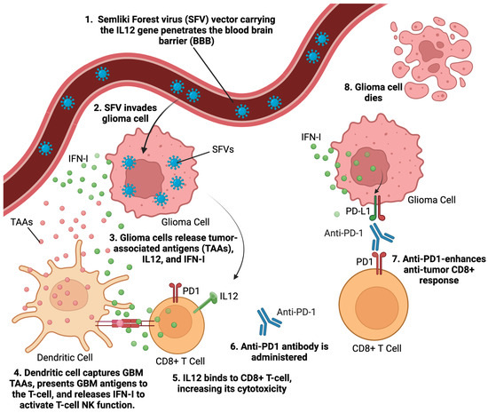 Viruses 17 00118 g003