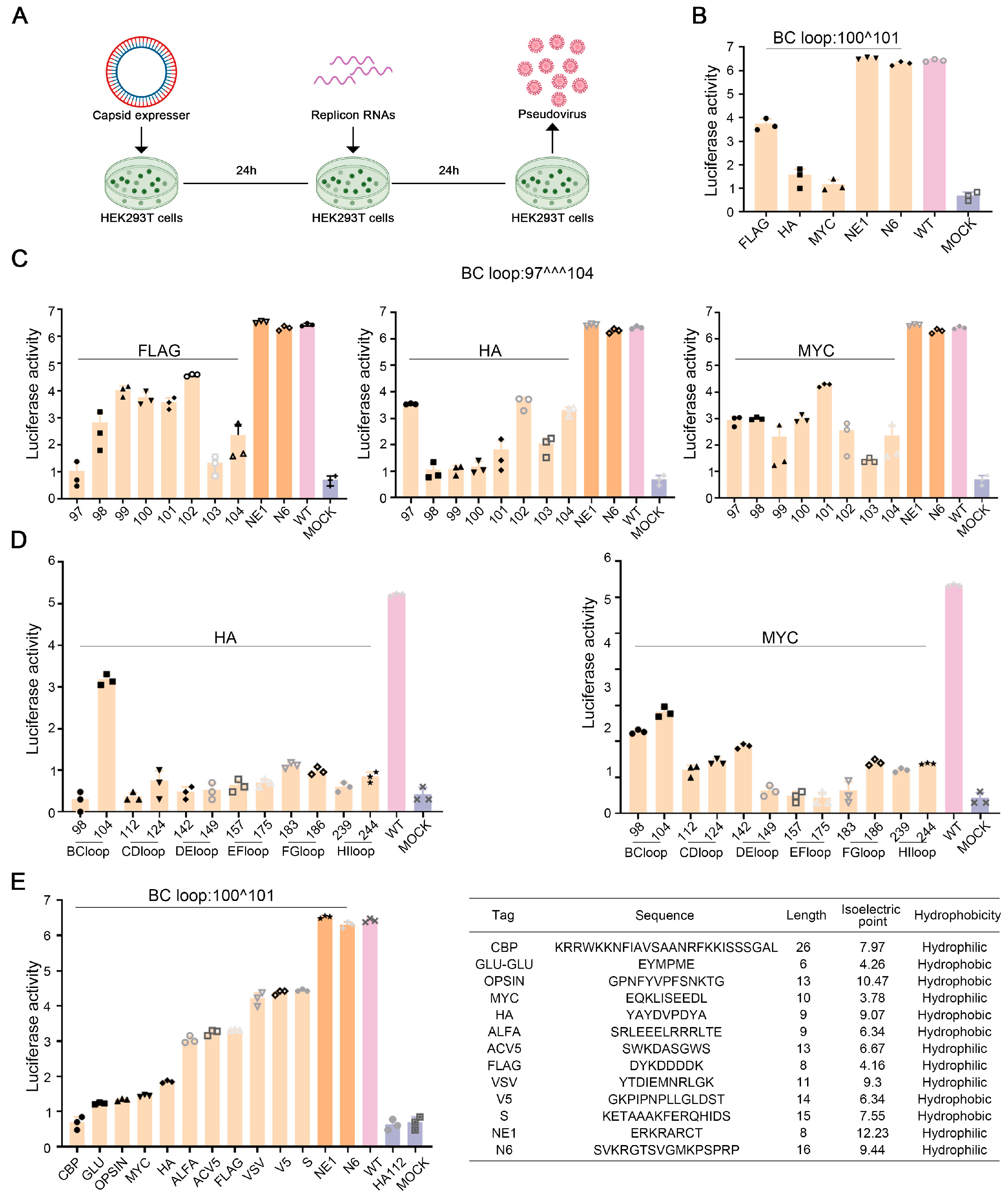 Viruses 17 00128 g001 Viruses 17 00128 g001