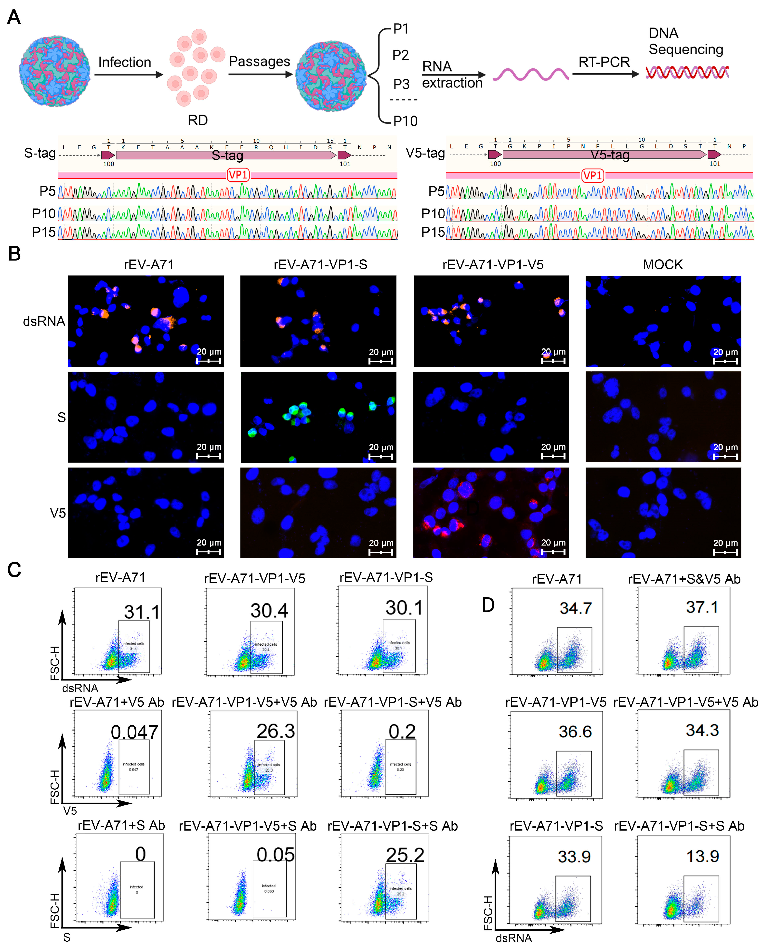 Viruses 17 00128 g004 Viruses 17 00128 g004