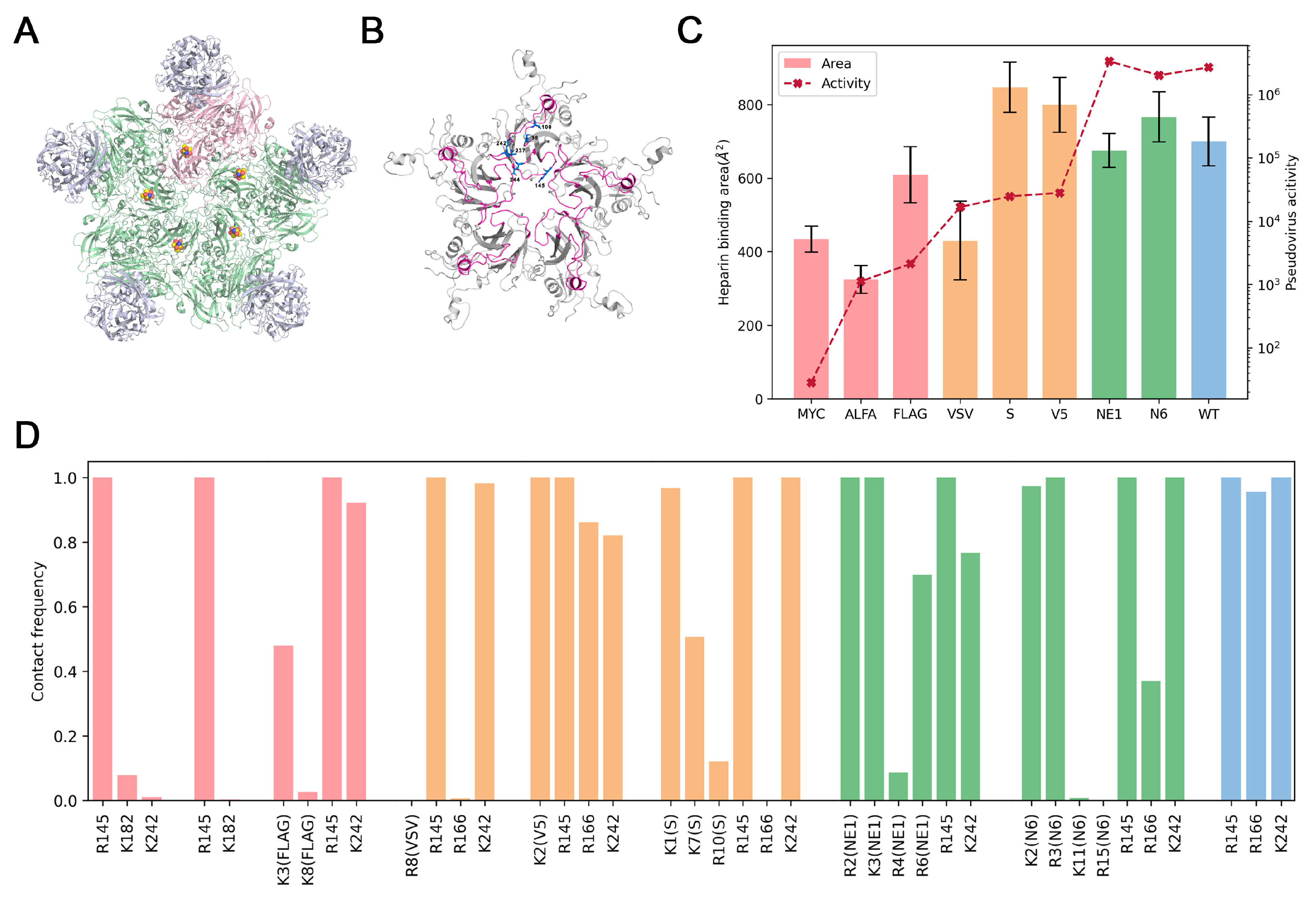 Viruses 17 00128 g005 Viruses 17 00128 g005