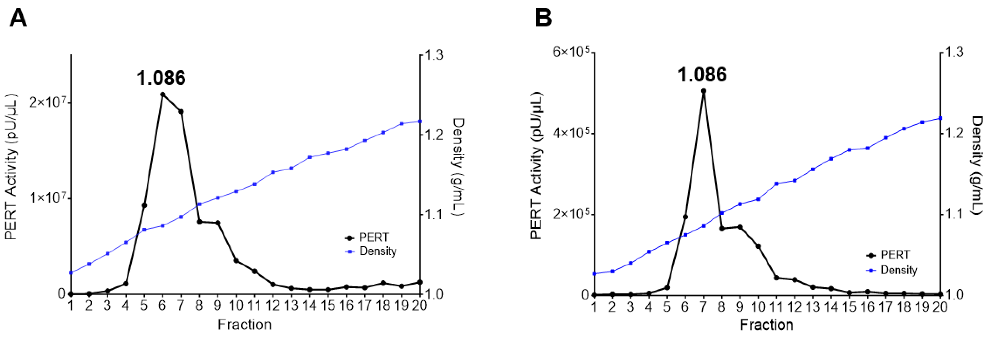 Viruses 17 00136 g007 Viruses 17 00136 g007