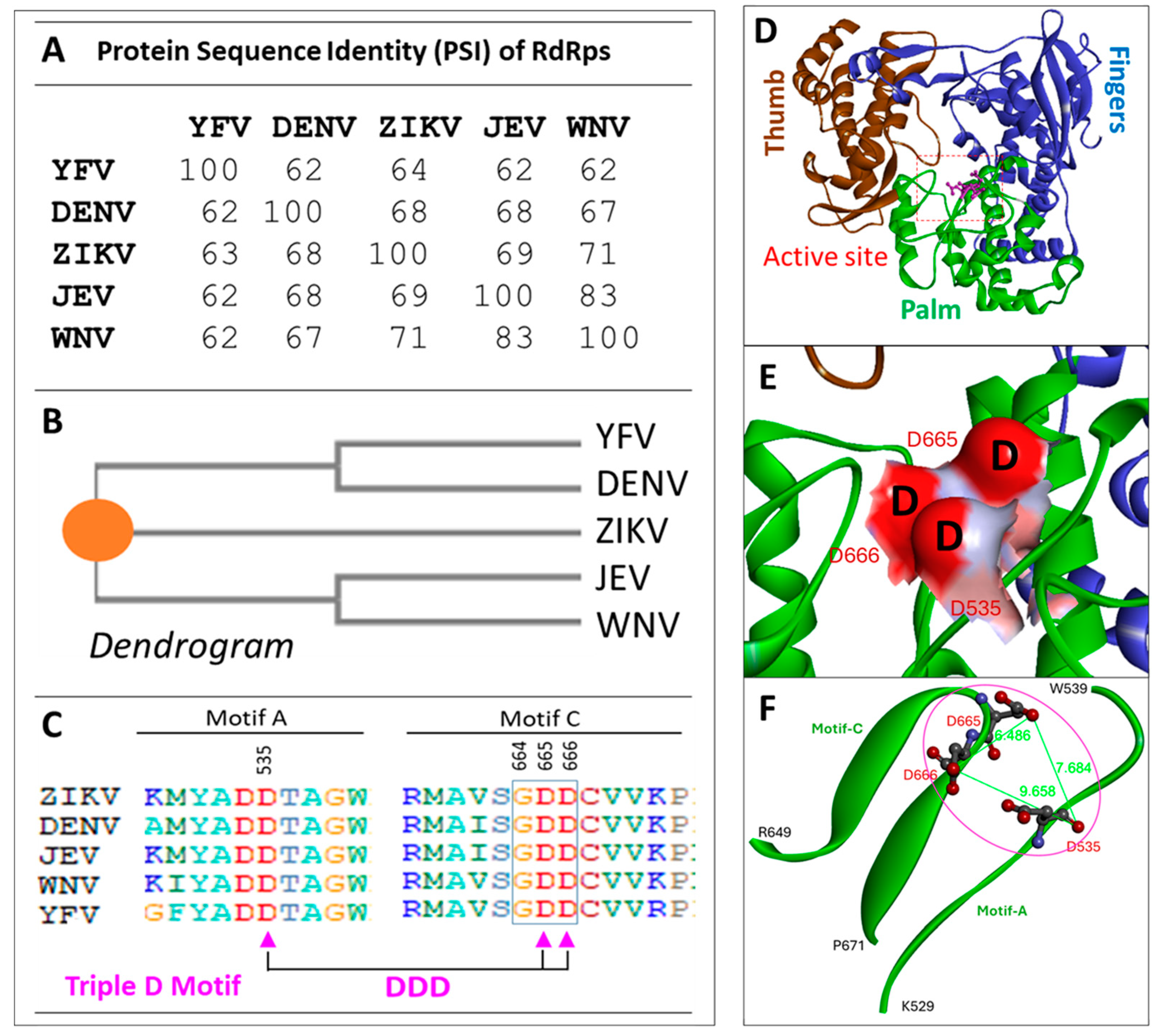 Viruses 17 00145 g001