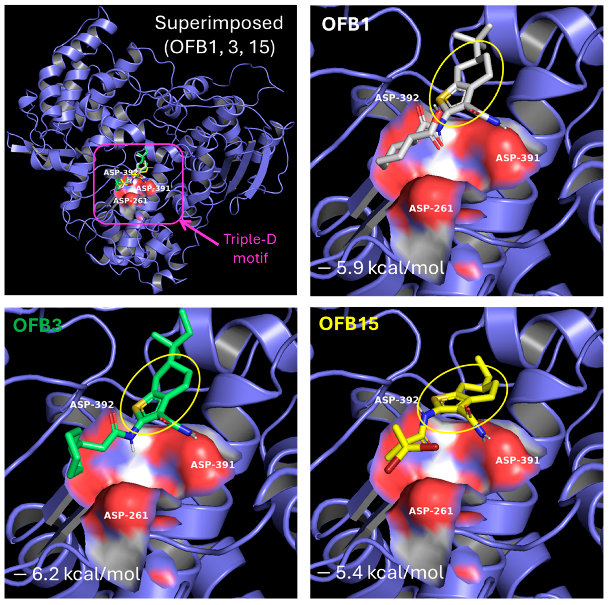 Viruses 17 00145 g008