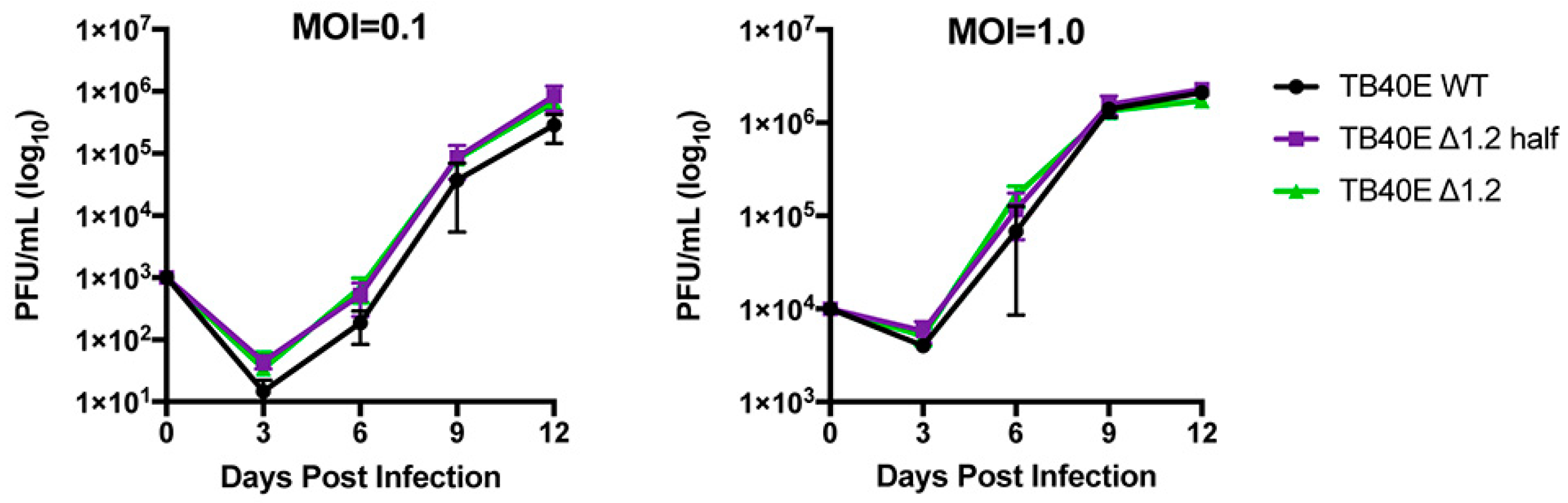 Viruses 17 00149 g004