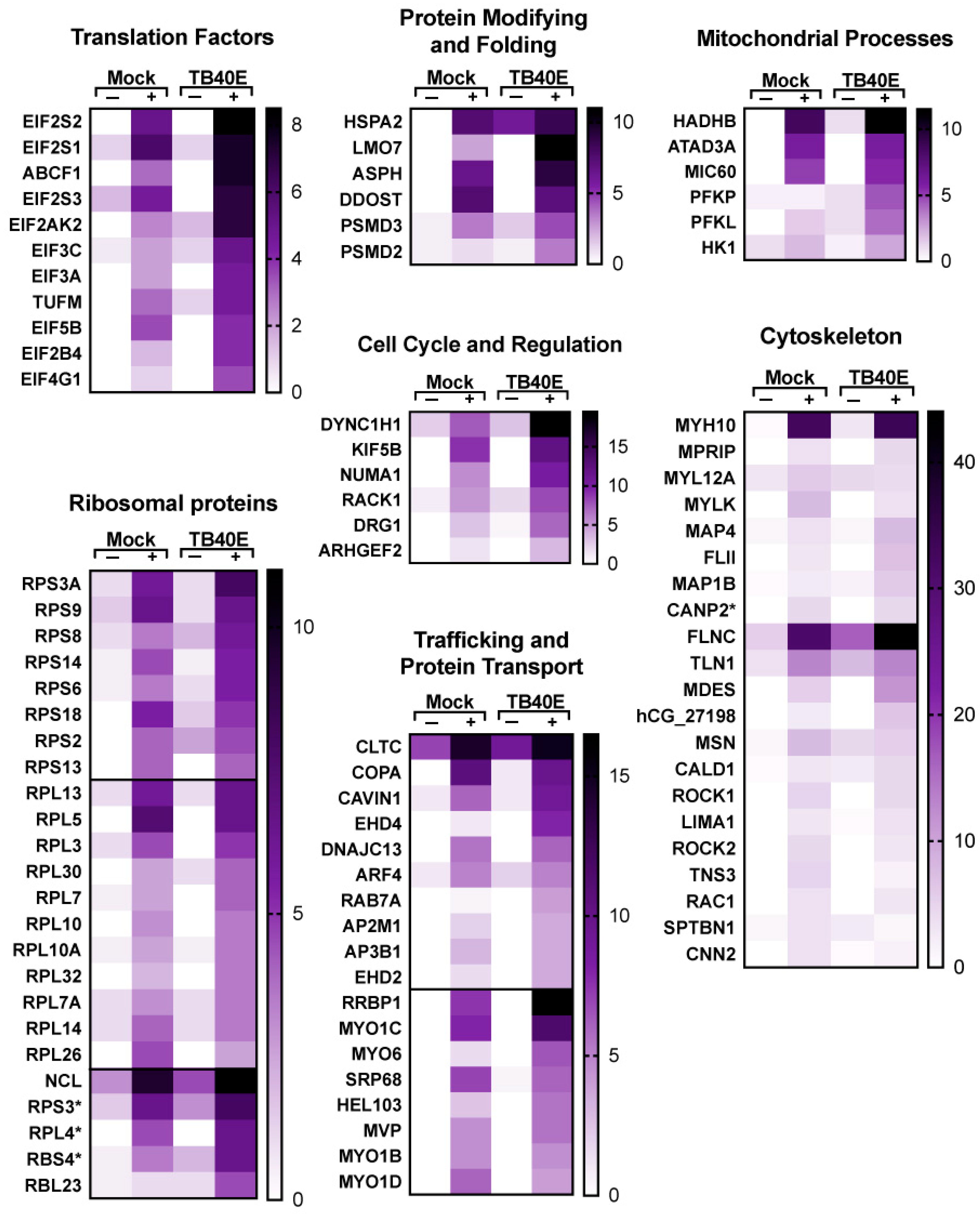 Viruses 17 00149 g008