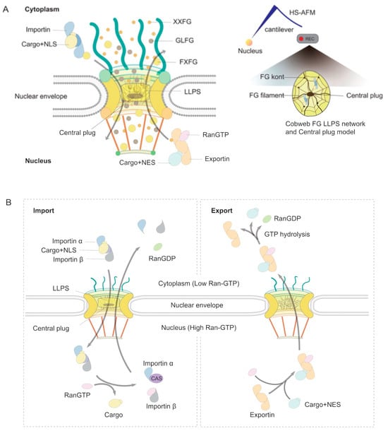 Viruses 17 00151 g002