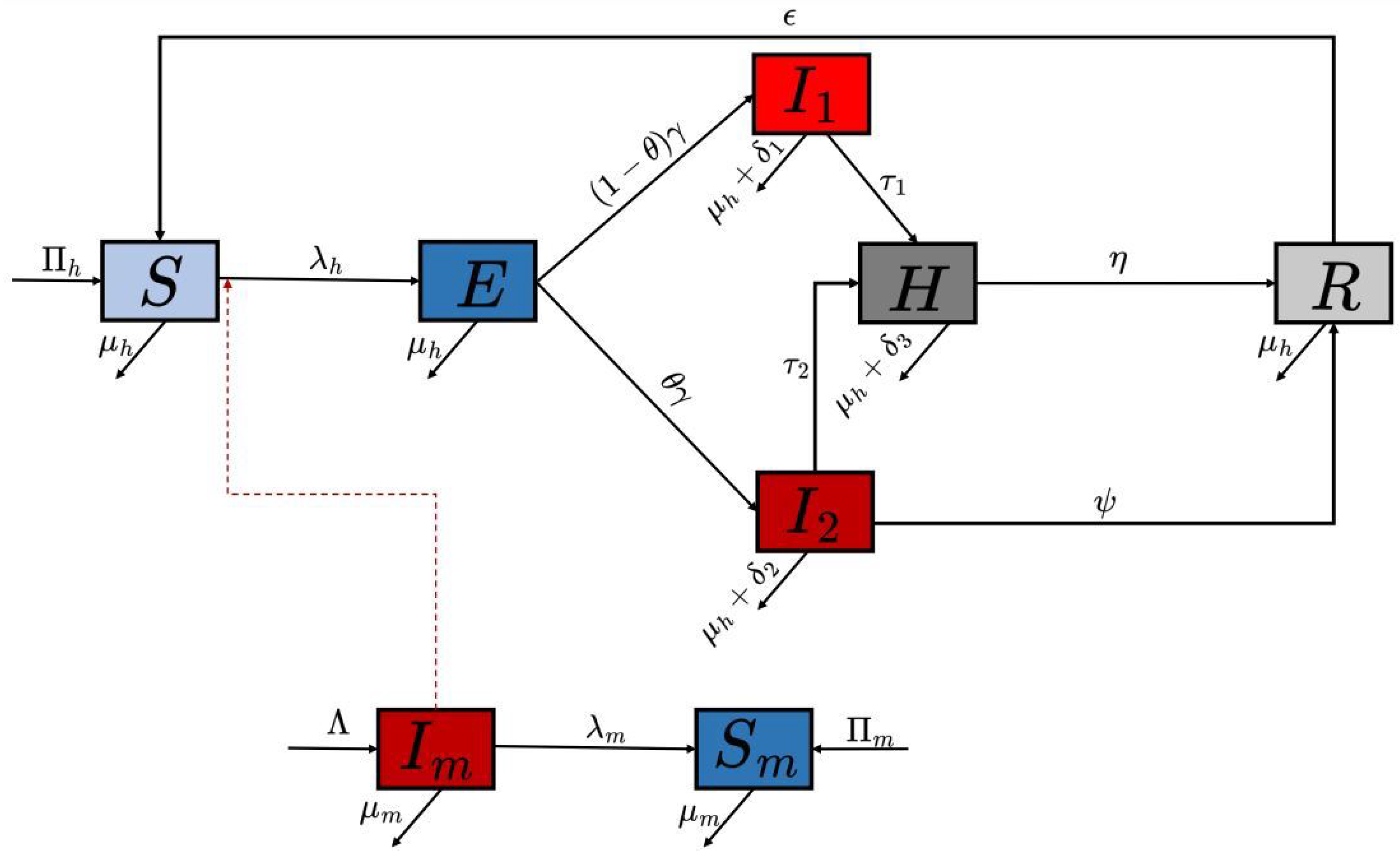 Viruses 17 00154 g001