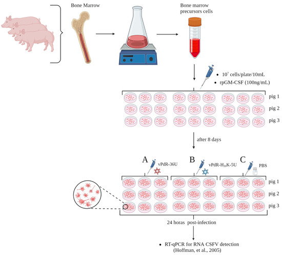 Viruses 17 00160 g001