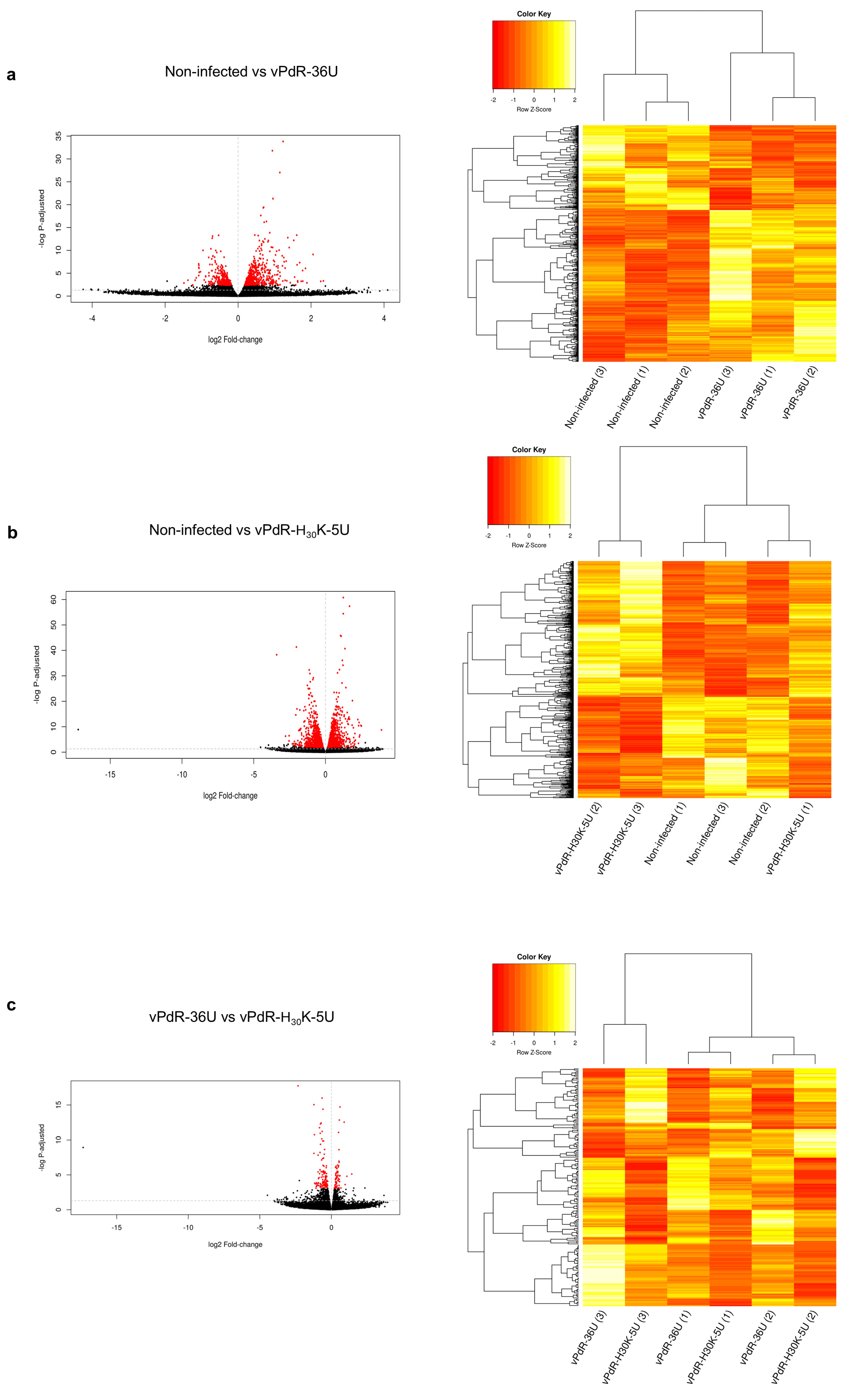 Viruses 17 00160 g003