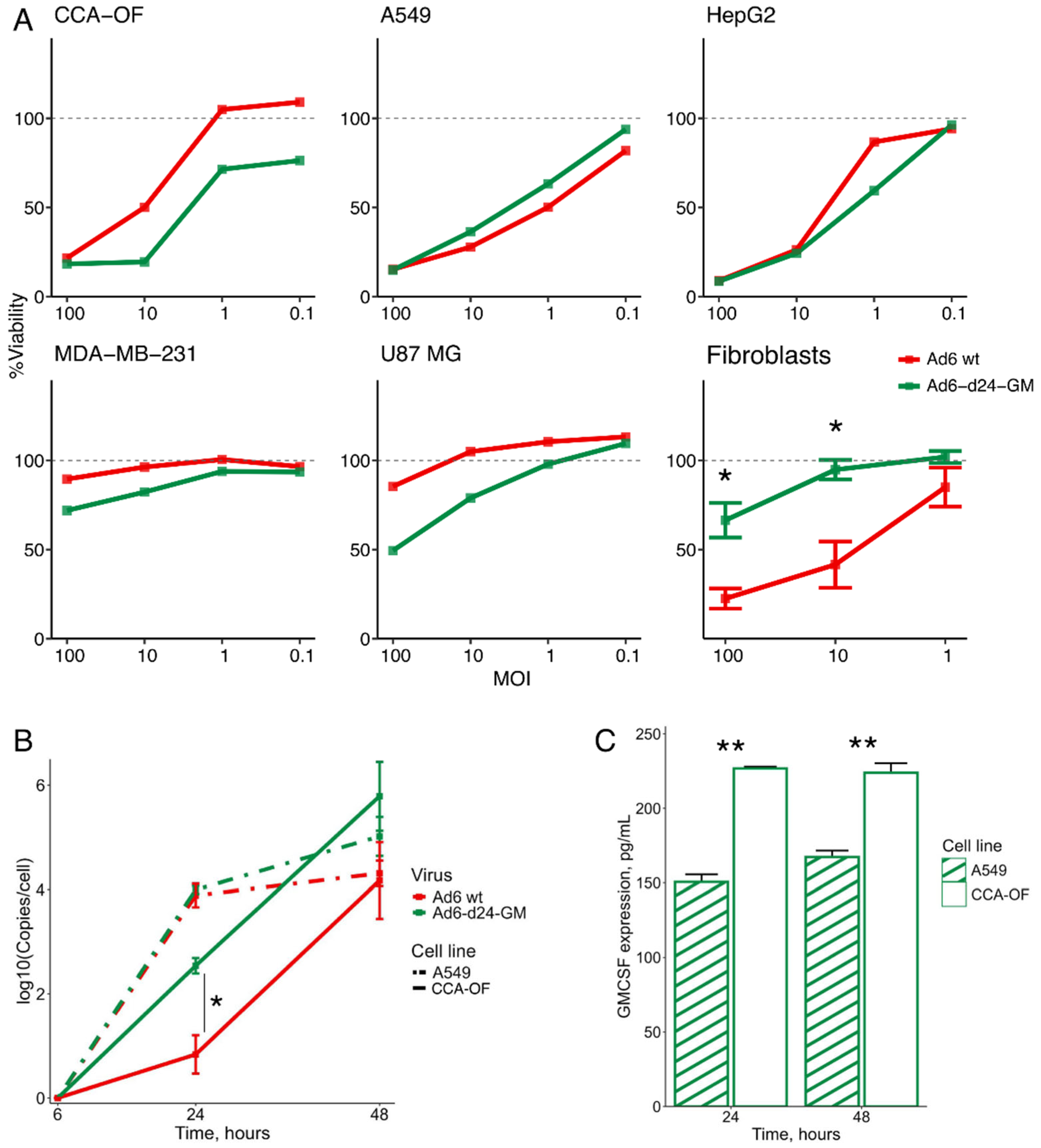 Viruses 17 00162 g001