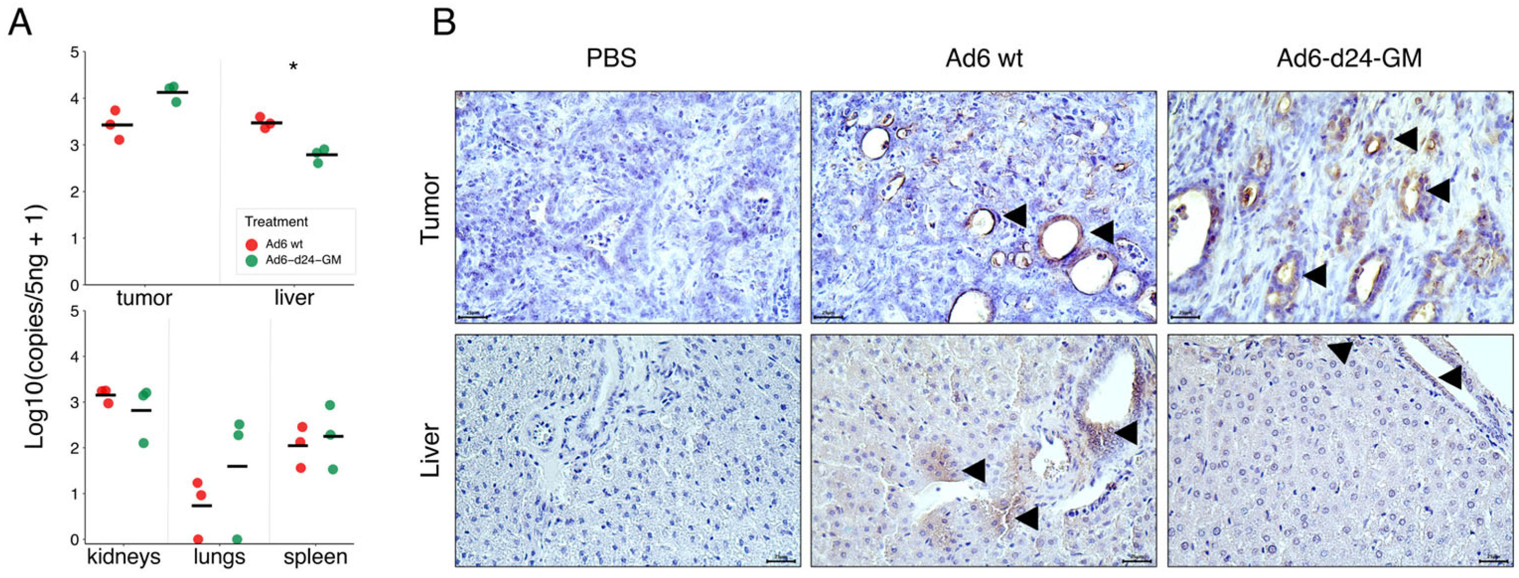 Viruses 17 00162 g003