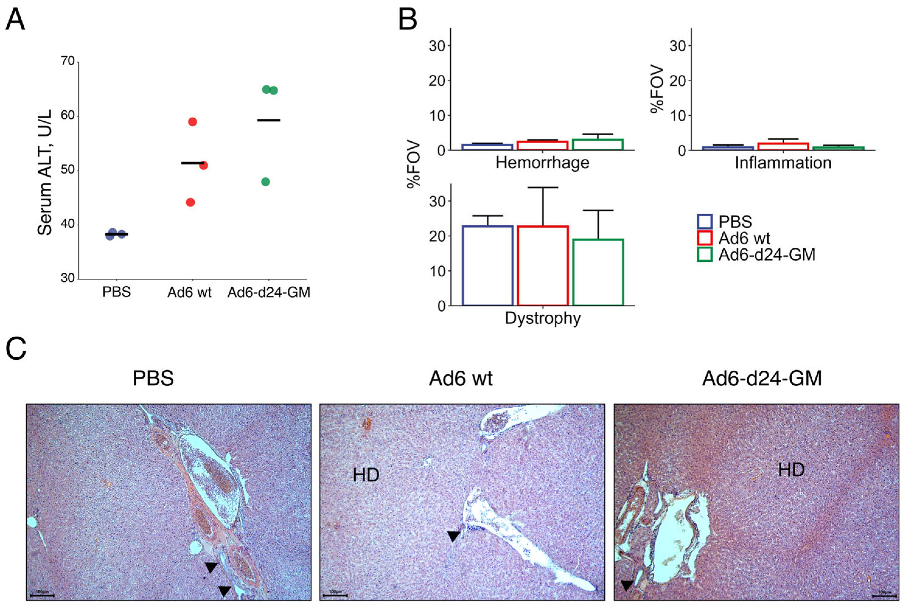 Viruses 17 00162 g004
