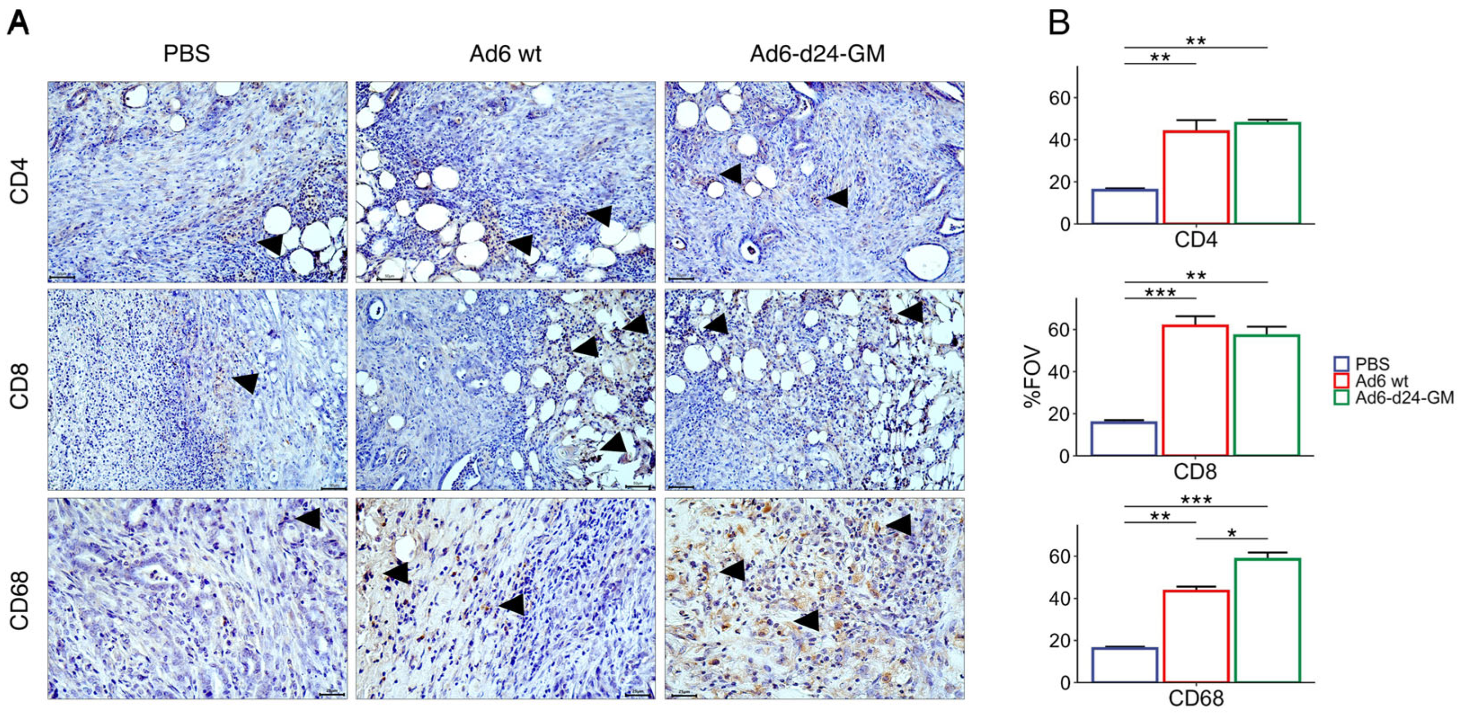 Viruses 17 00162 g006