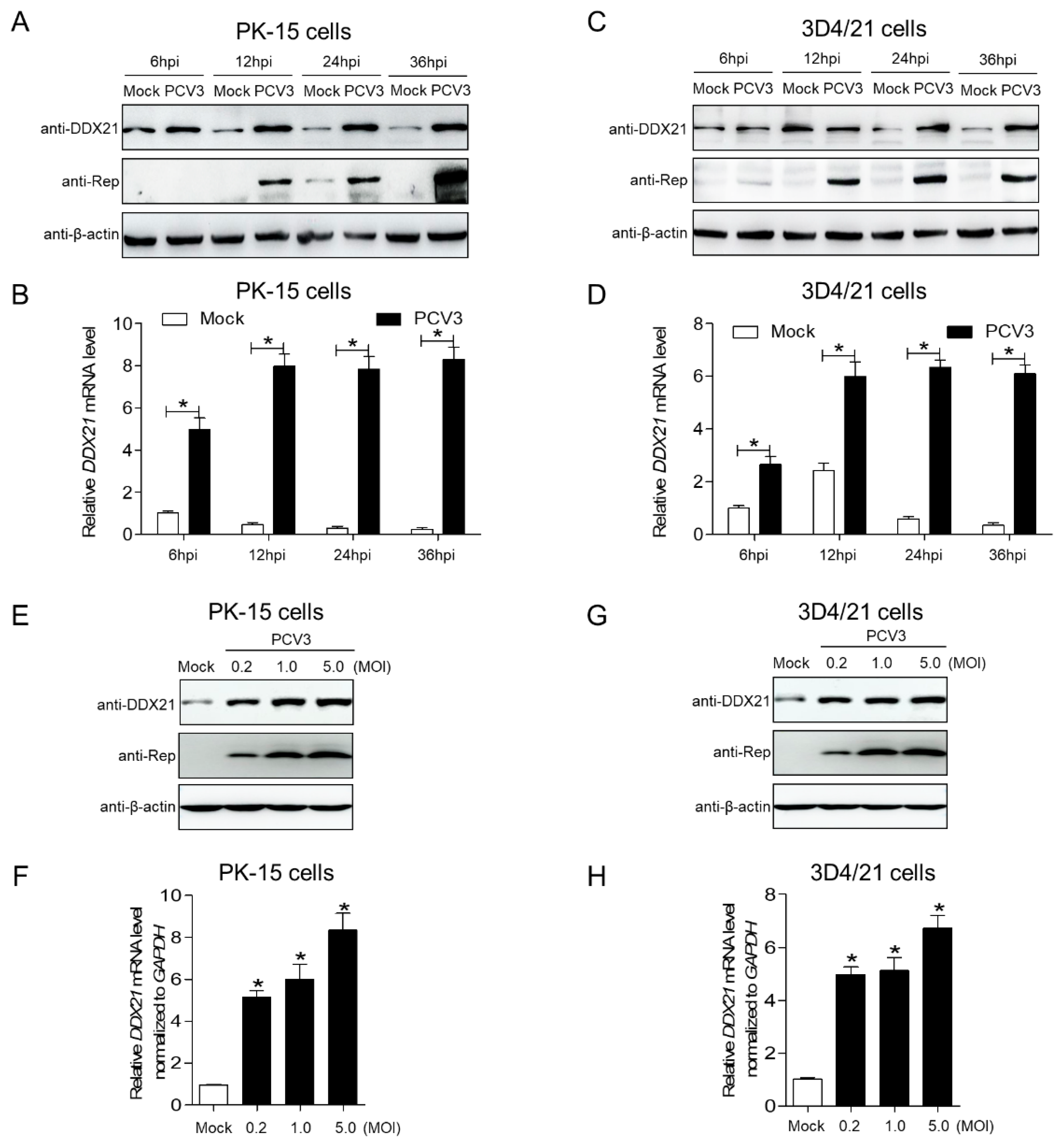 Viruses 17 00166 g001