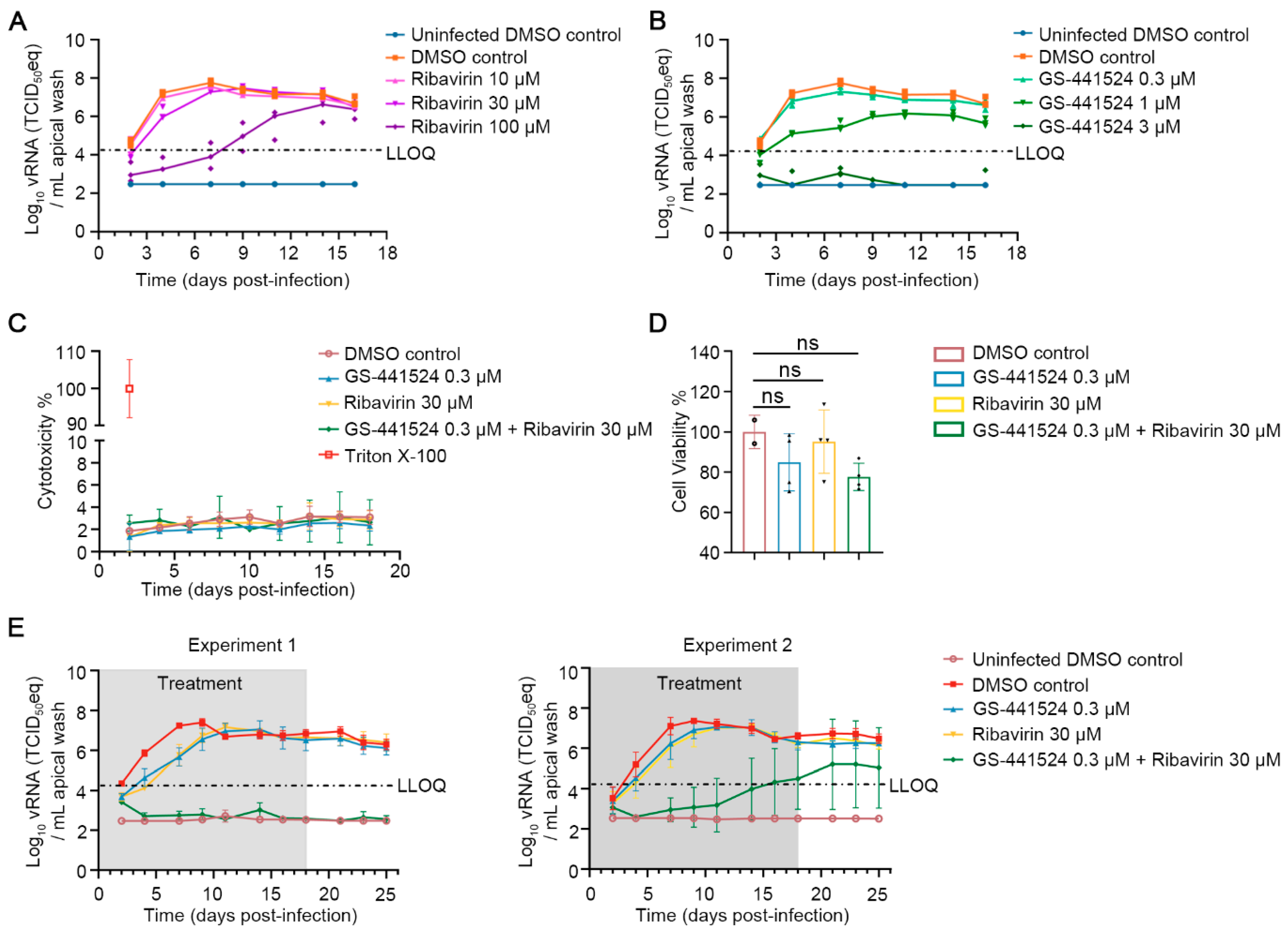 Viruses 17 00172 g002