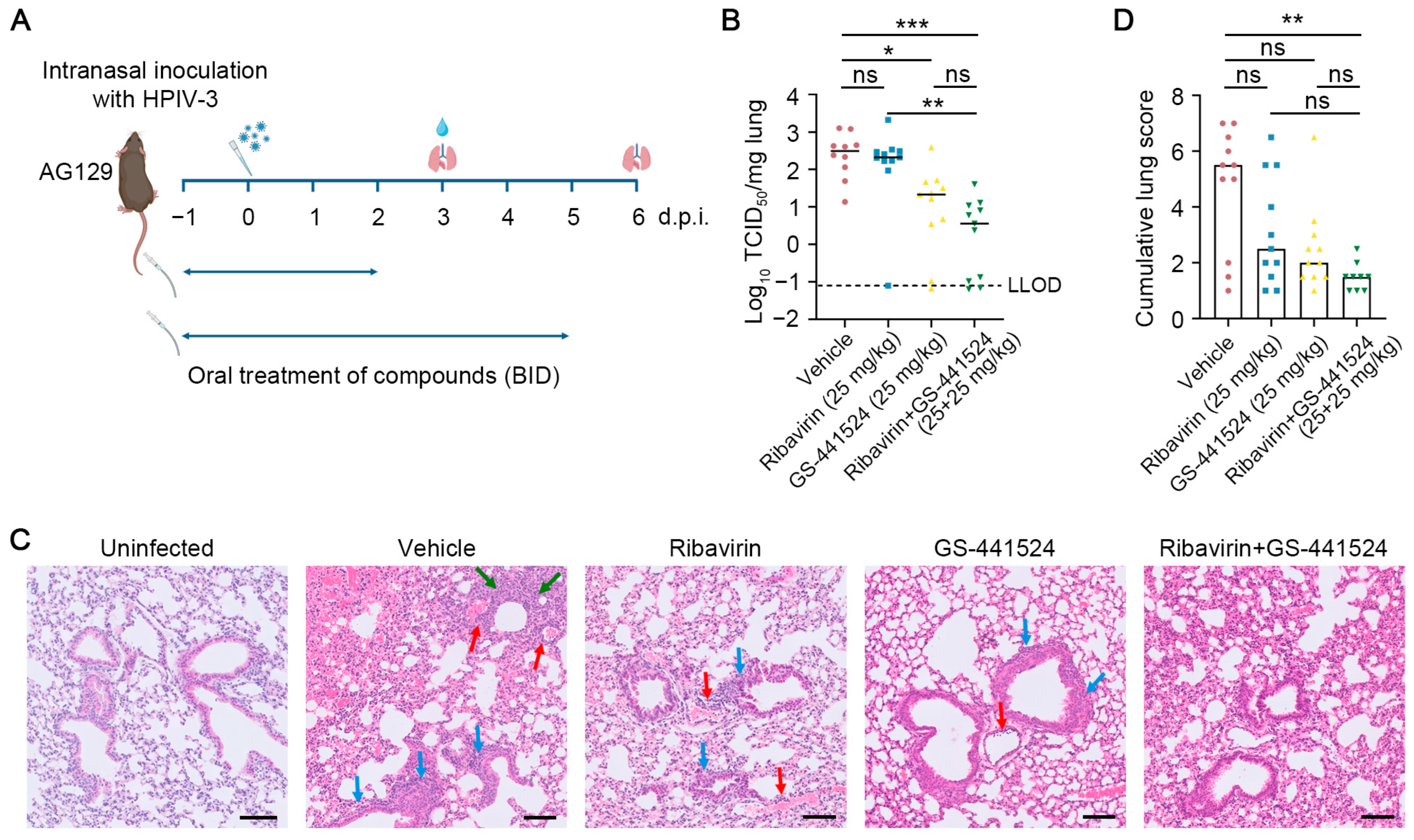 Viruses 17 00172 g004