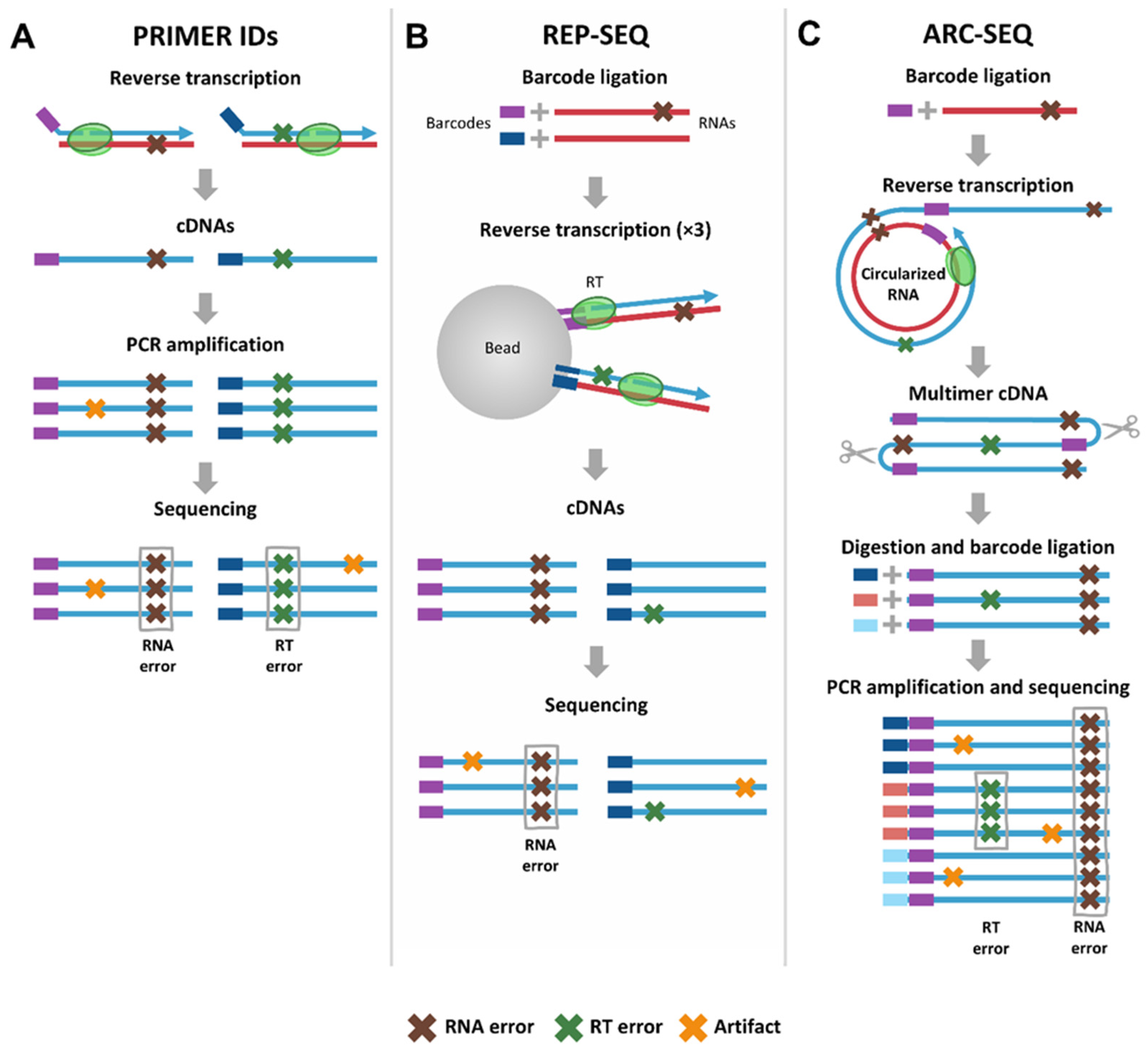 Viruses 17 00173 g004