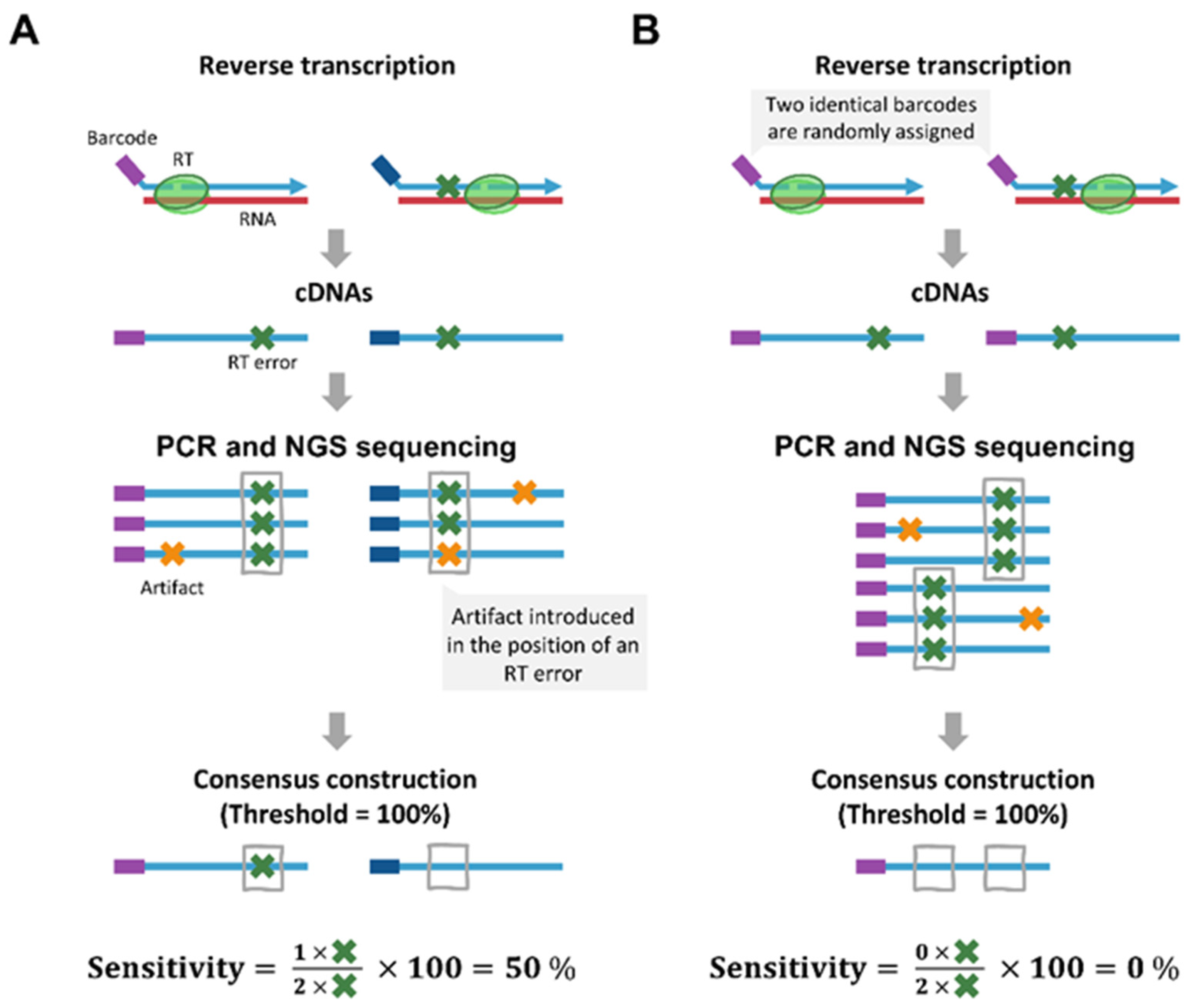 Viruses 17 00173 g006