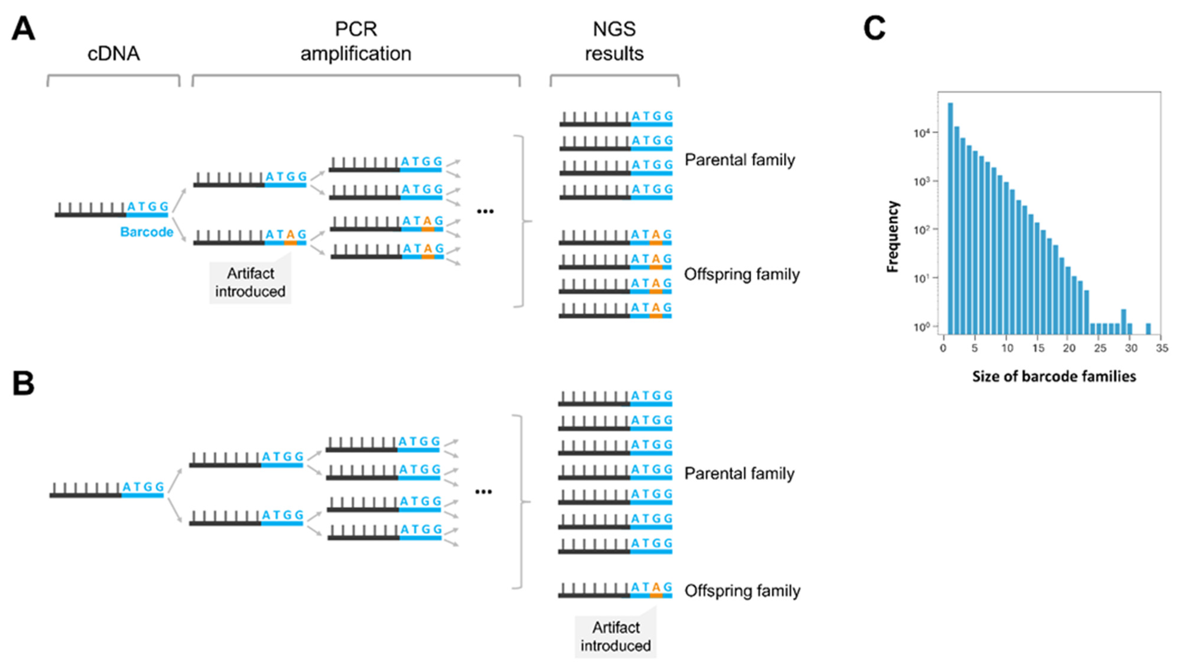 Viruses 17 00173 g007