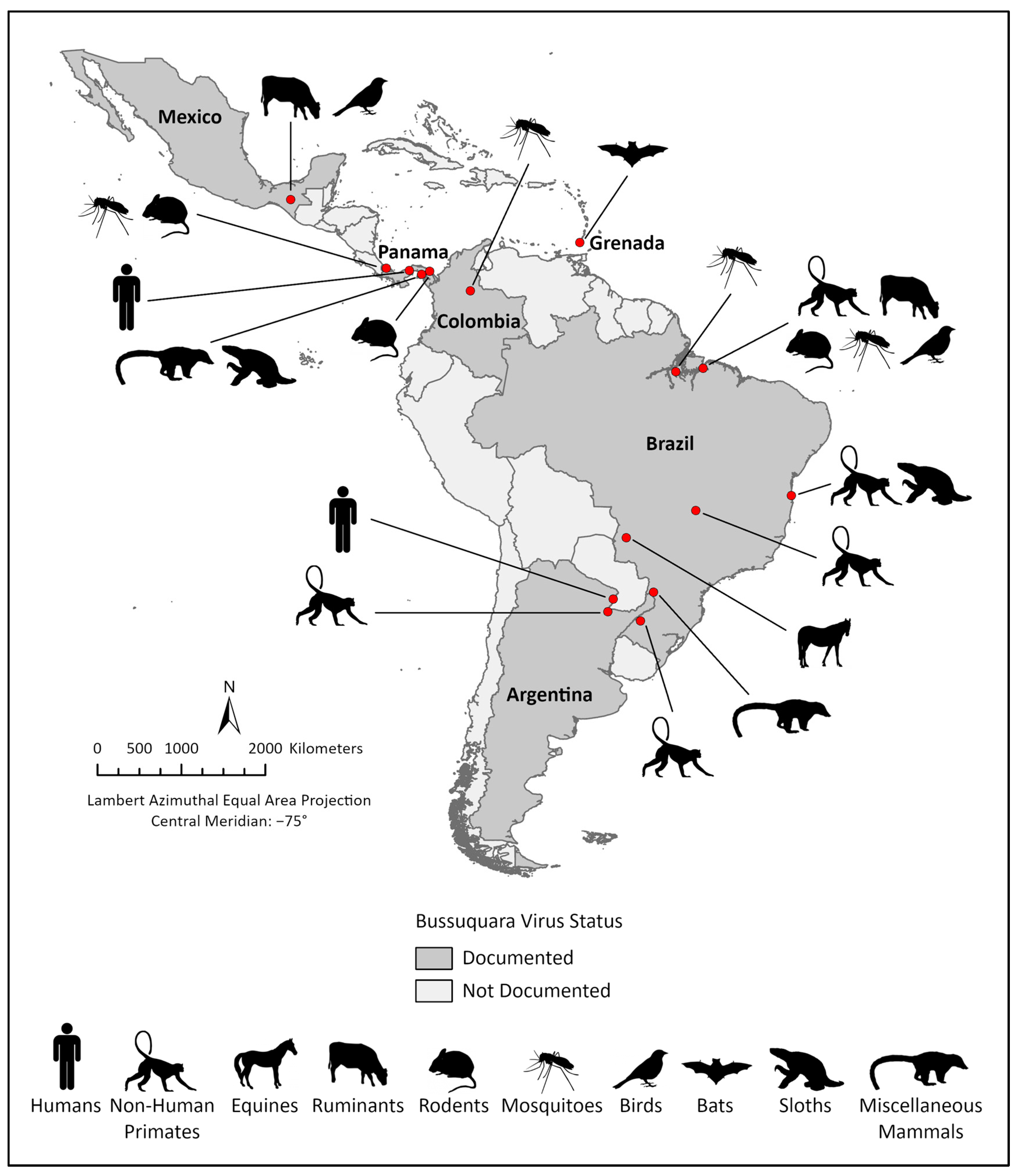 Viruses 17 00183 g001