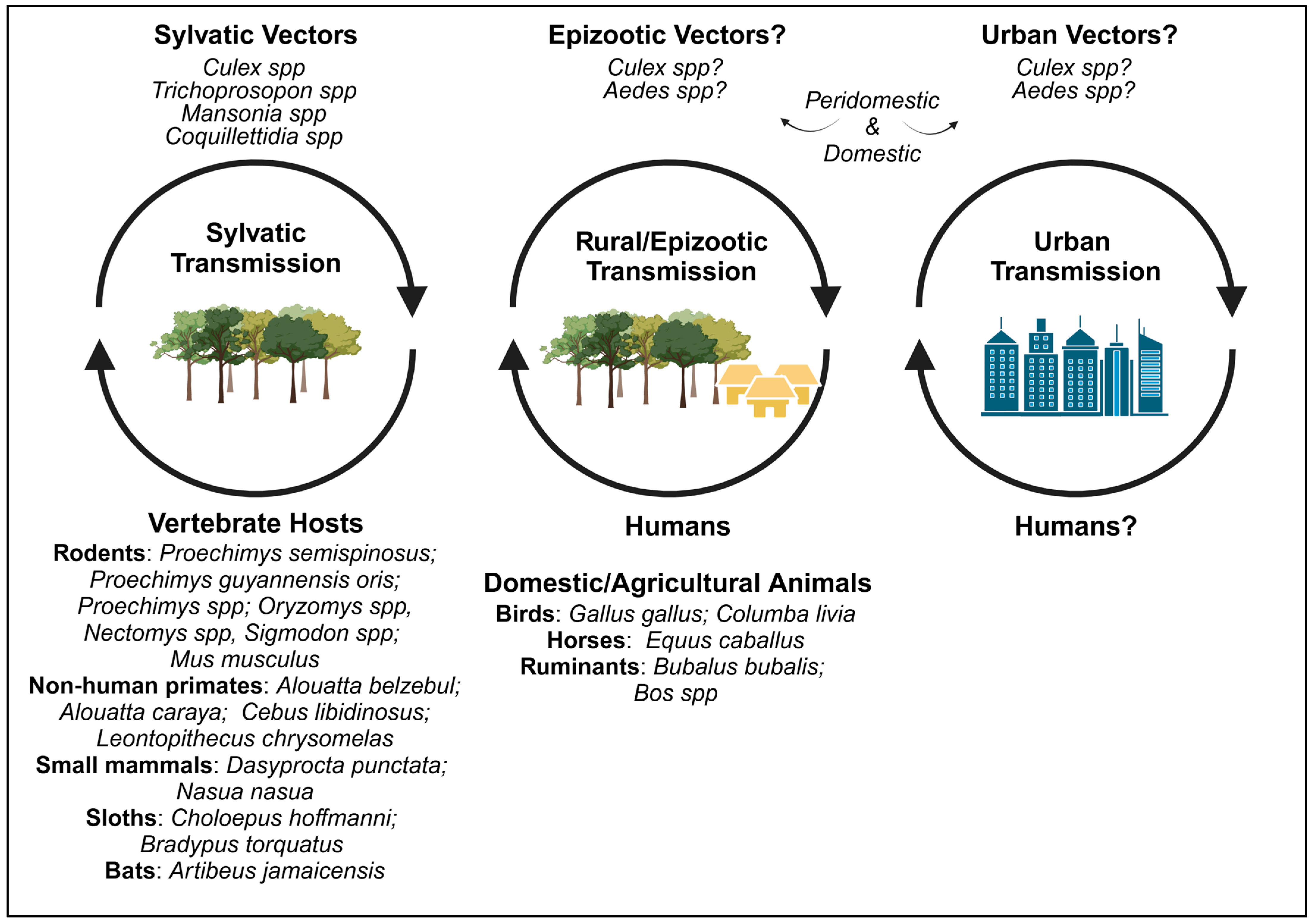 Viruses 17 00183 g002
