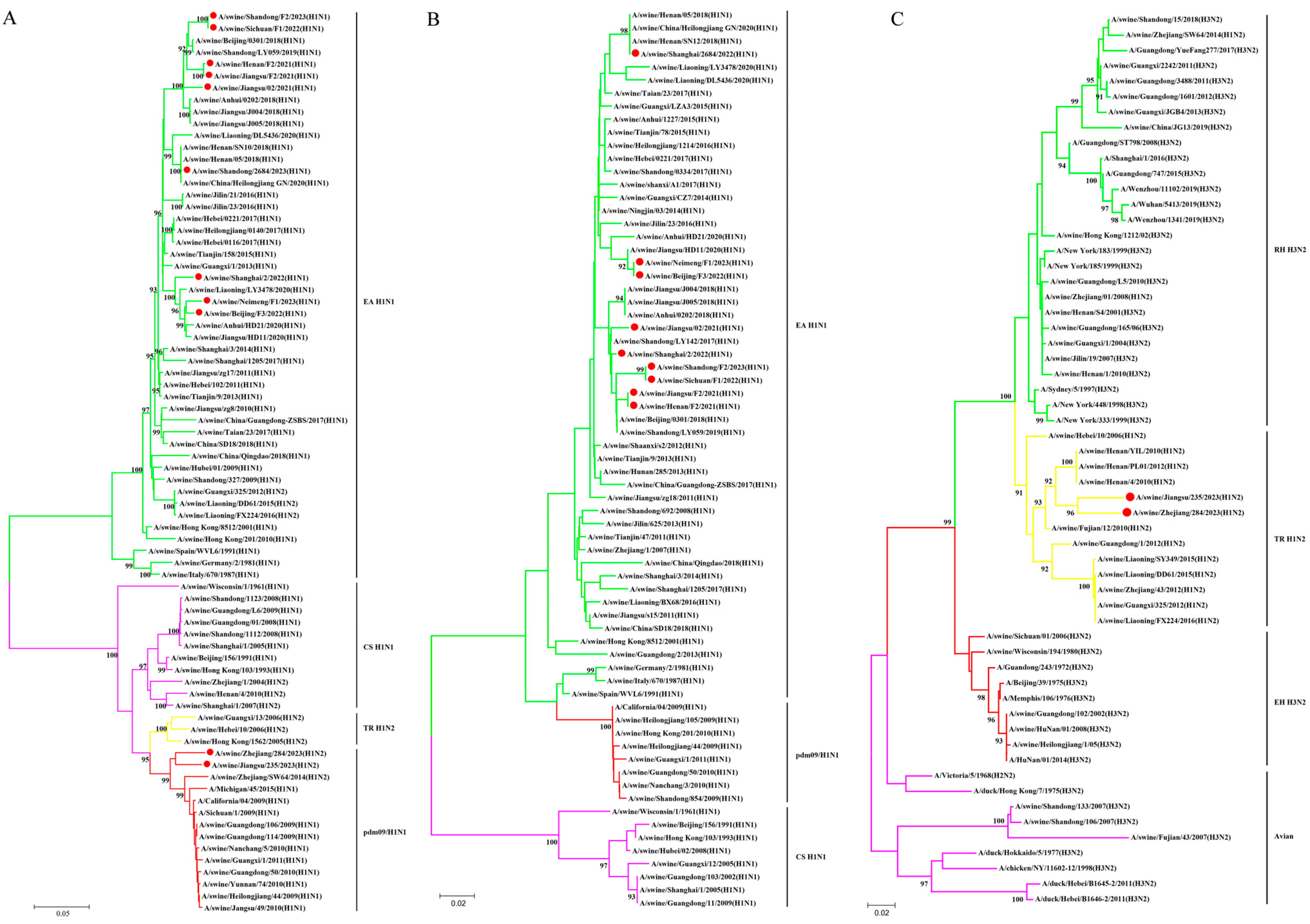 Viruses 17 00185 g001