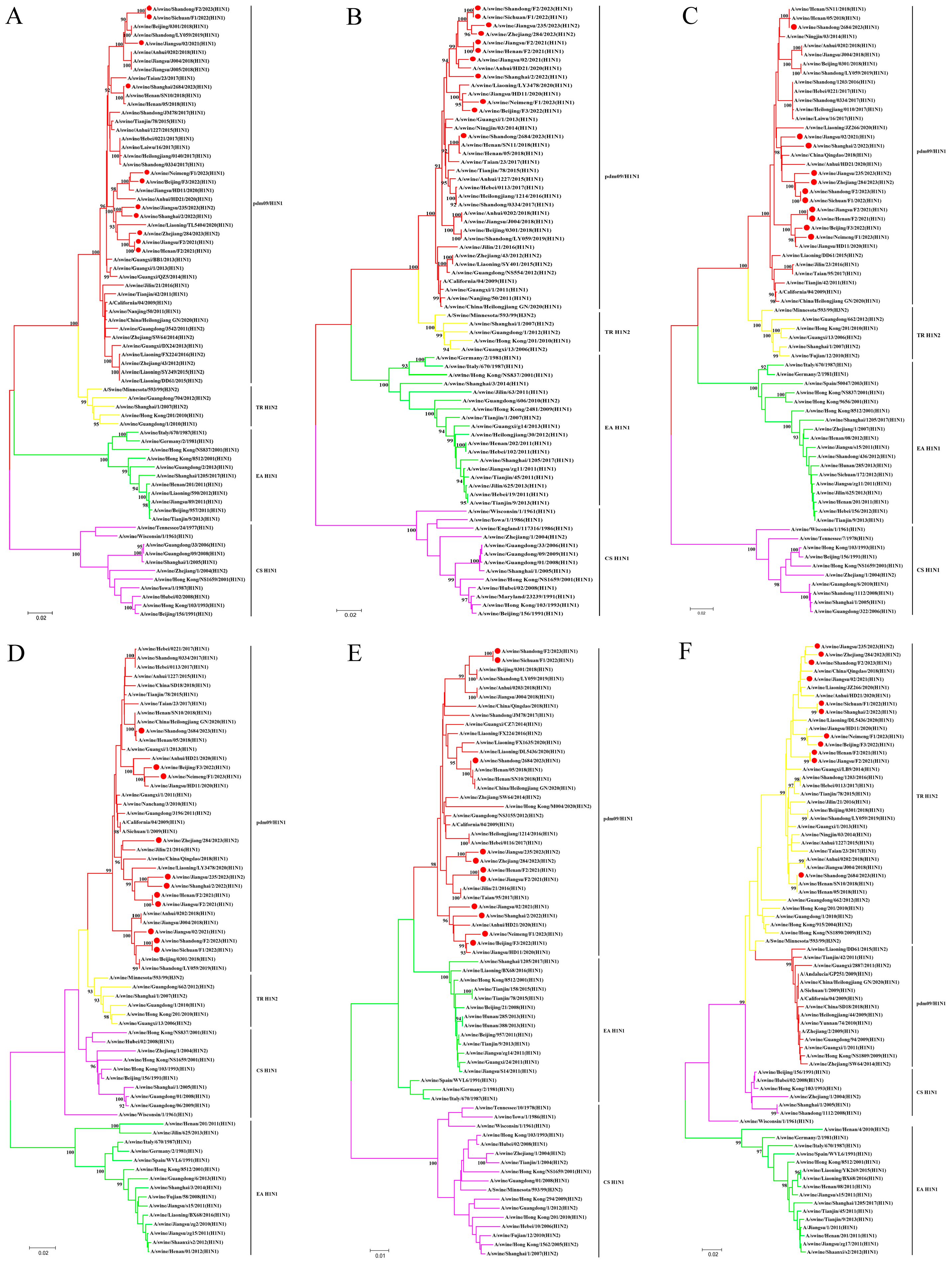 Viruses 17 00185 g002
