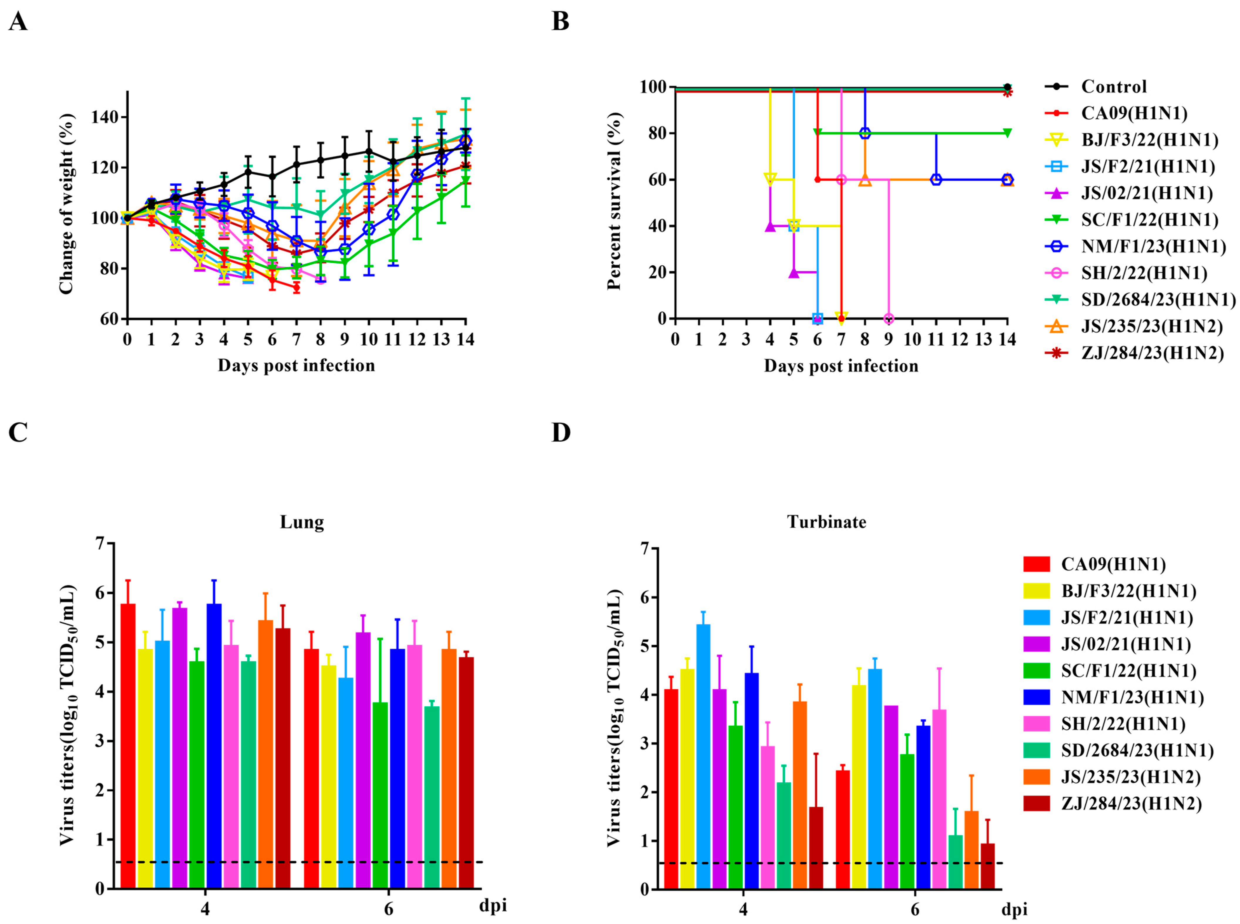 Viruses 17 00185 g005