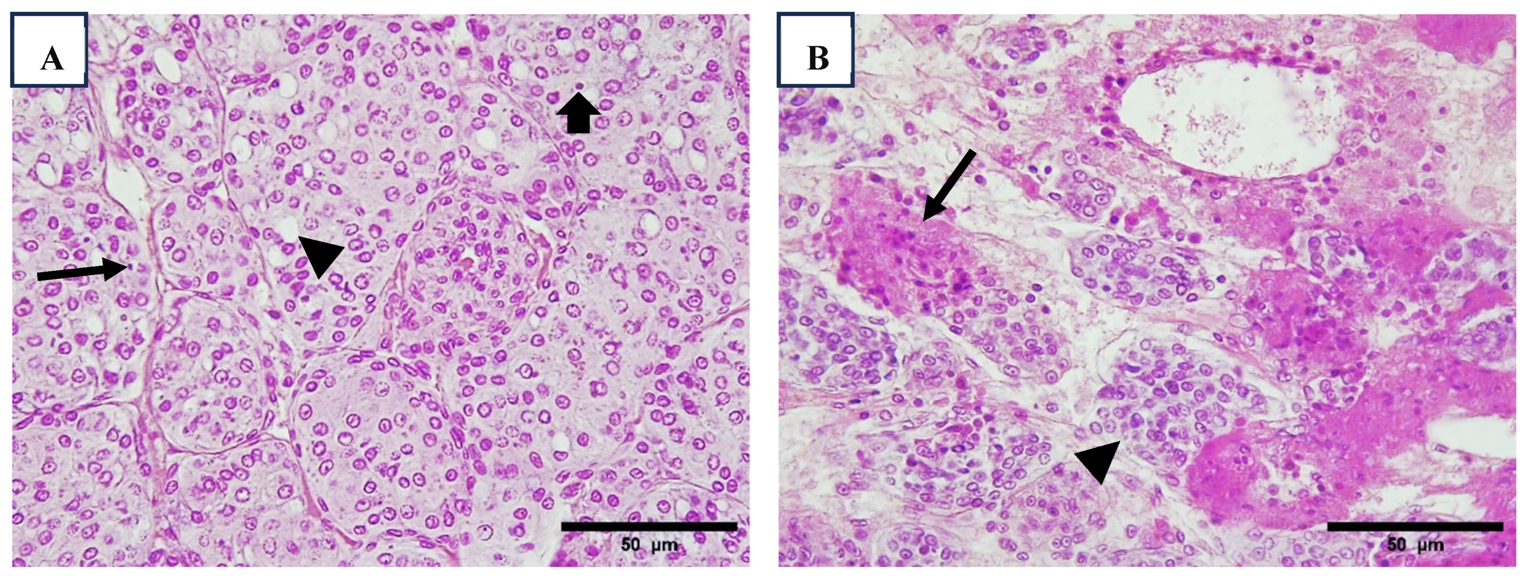 Viruses 17 00187 g004