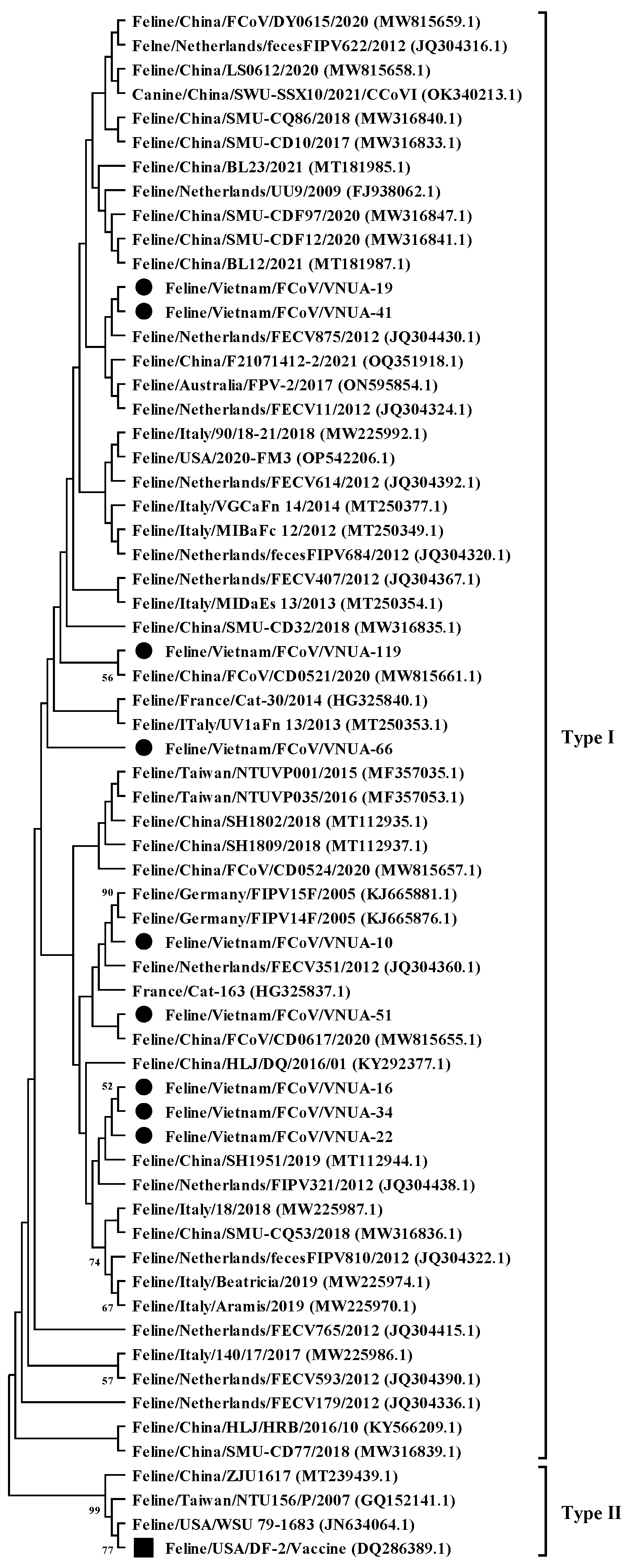 Viruses 17 00188 g001