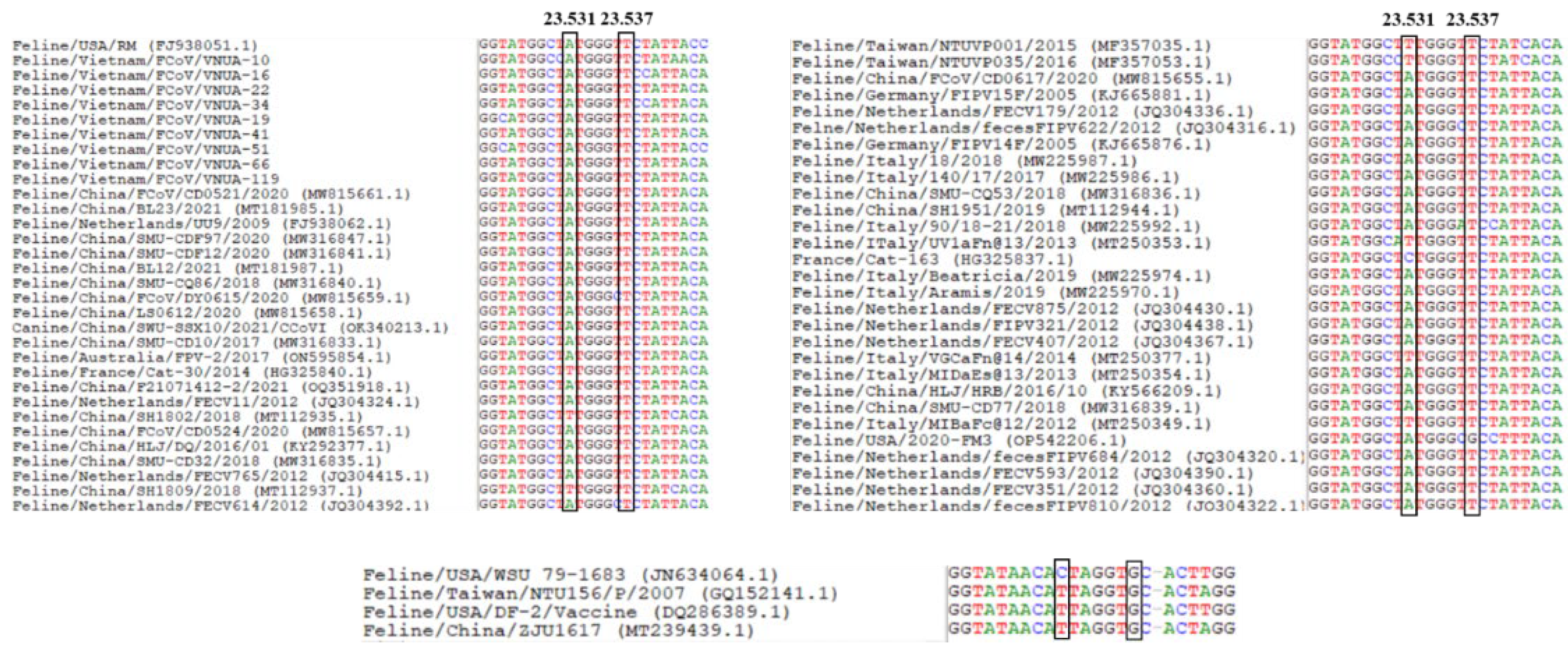 Viruses 17 00188 g002