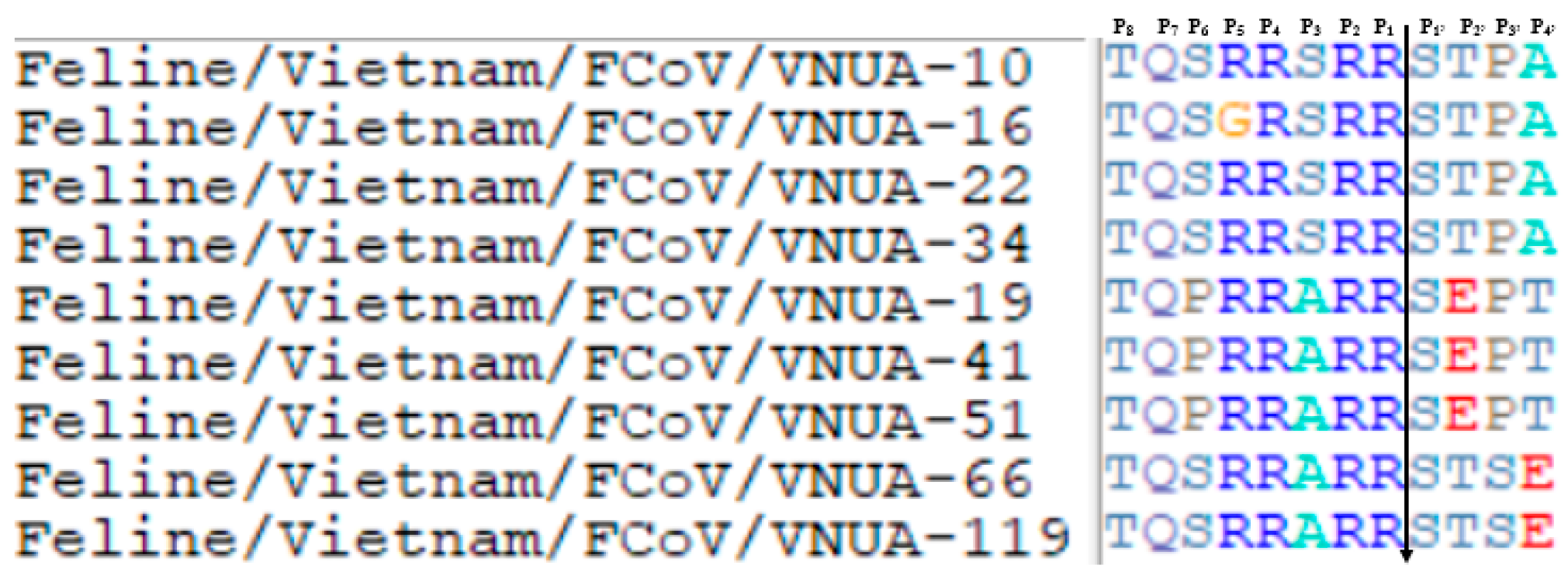 Viruses 17 00188 g003