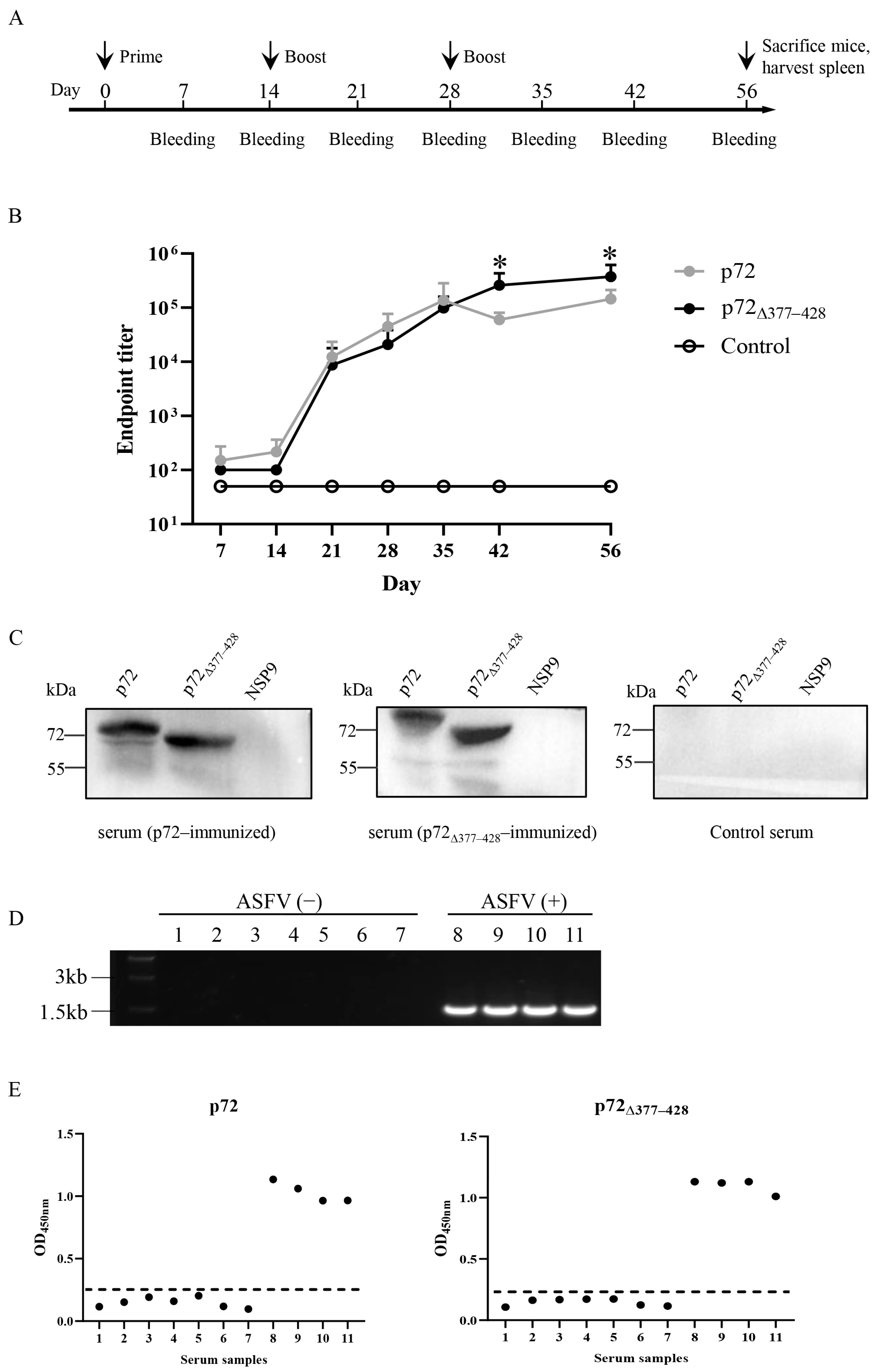Viruses 17 00194 g003