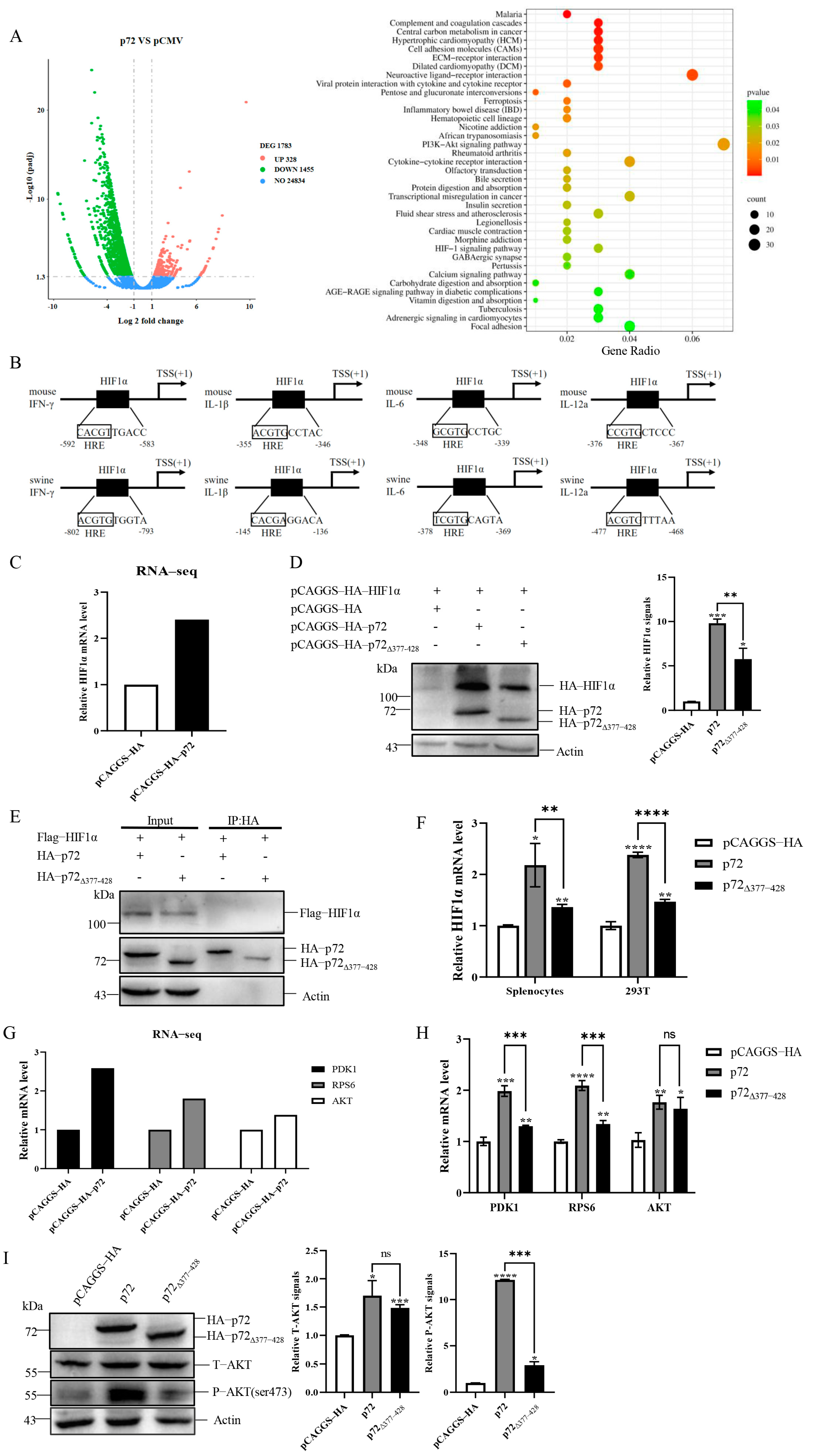 Viruses 17 00194 g006