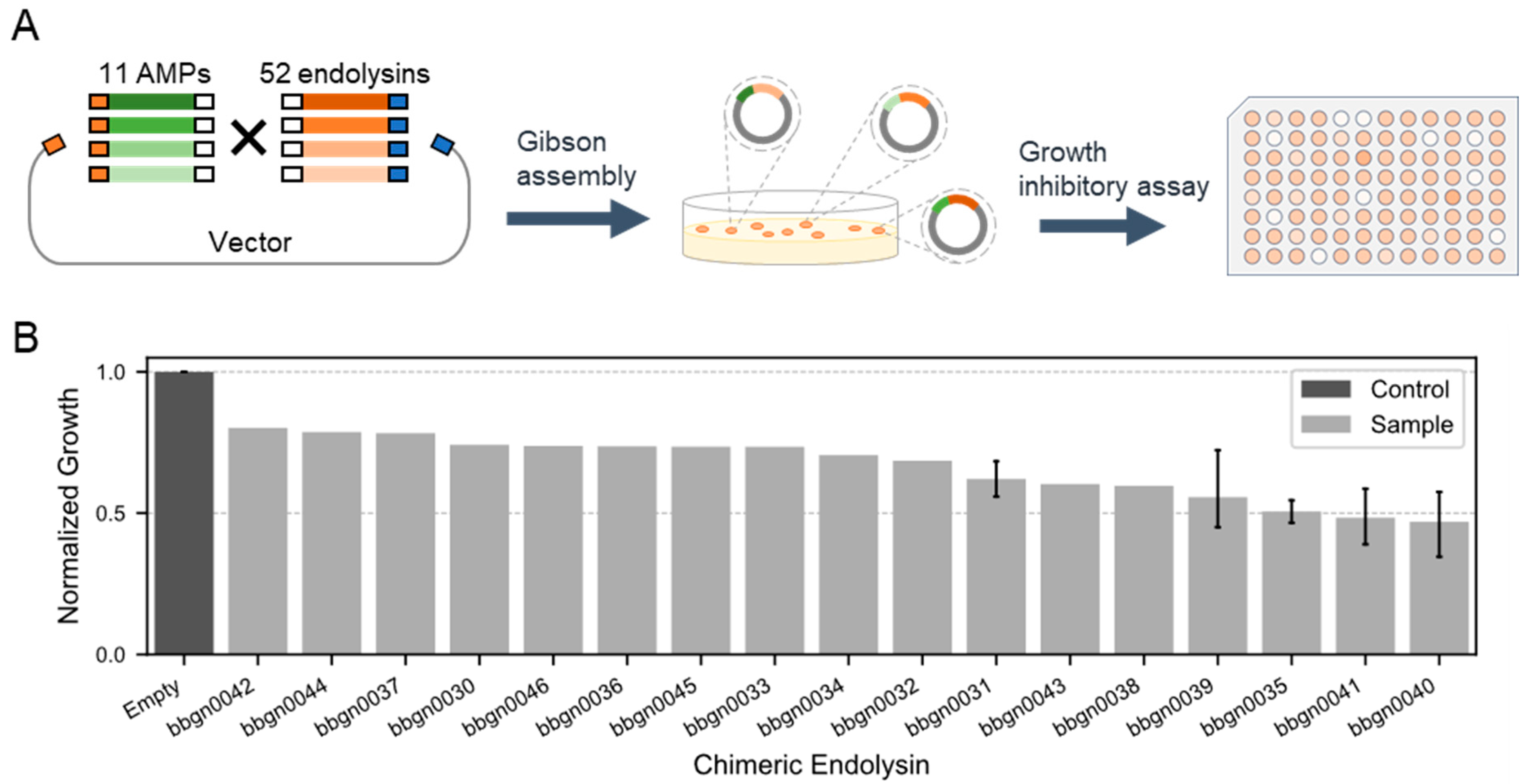 Viruses 17 00200 g002