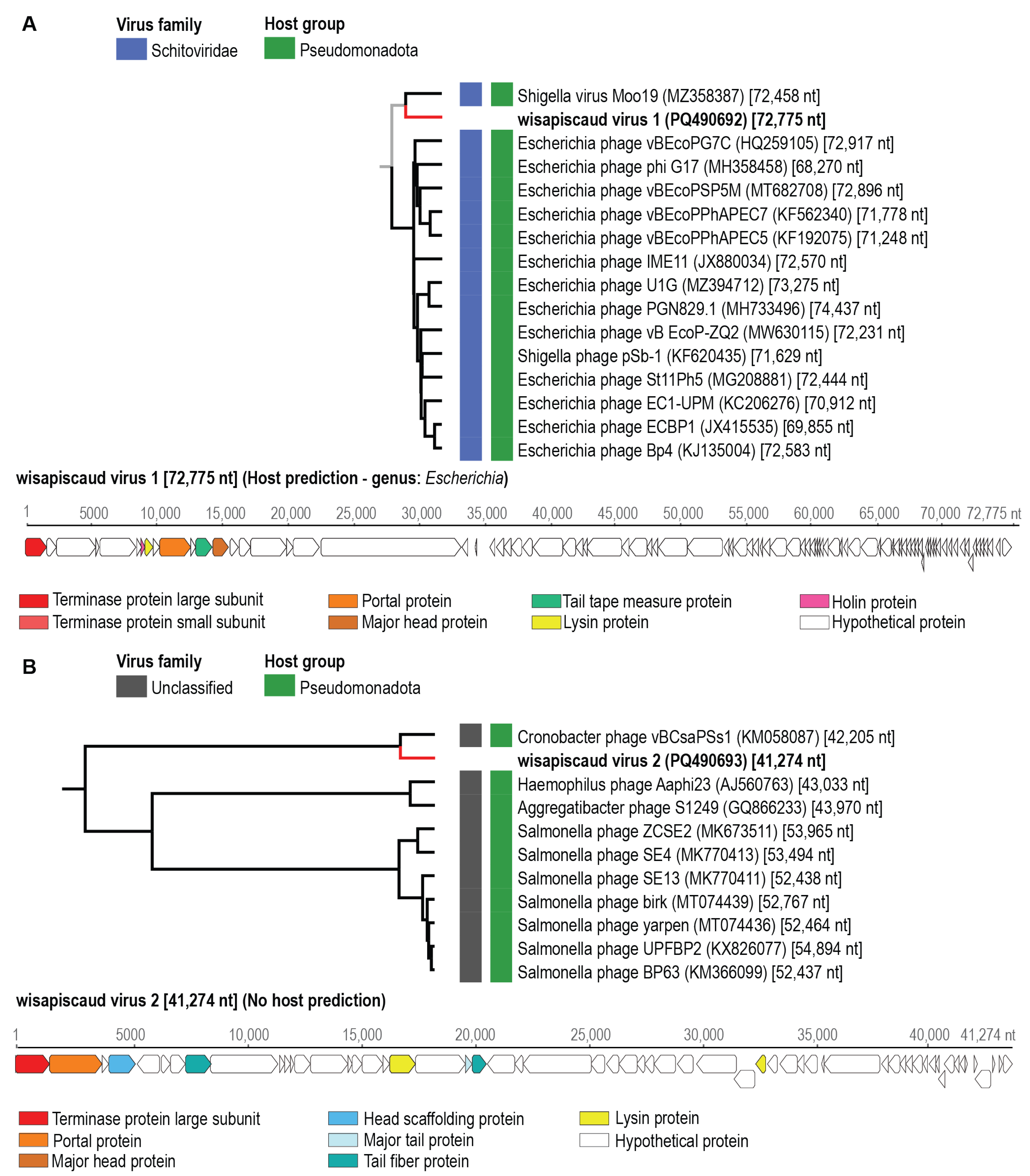 Viruses 17 00201 g002