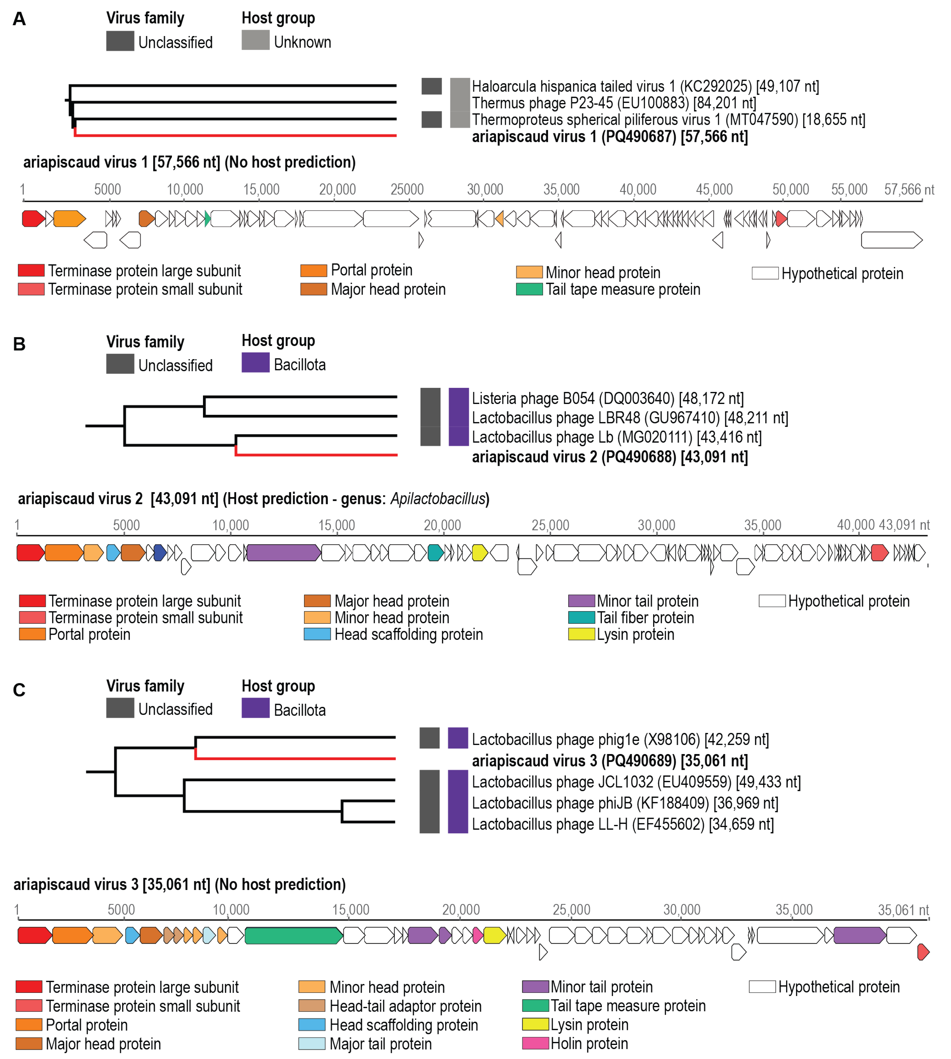 Viruses 17 00201 g003