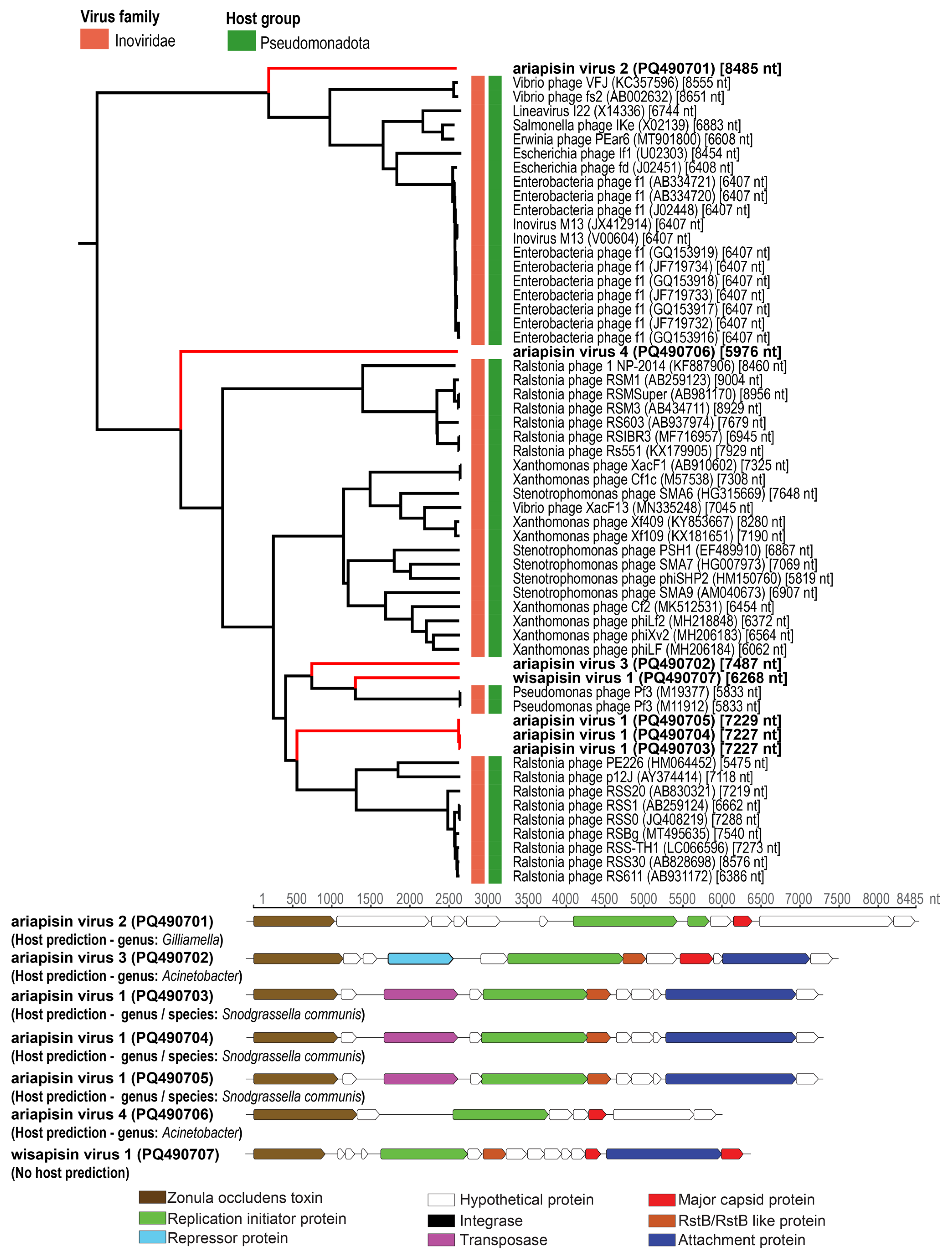 Viruses 17 00201 g005