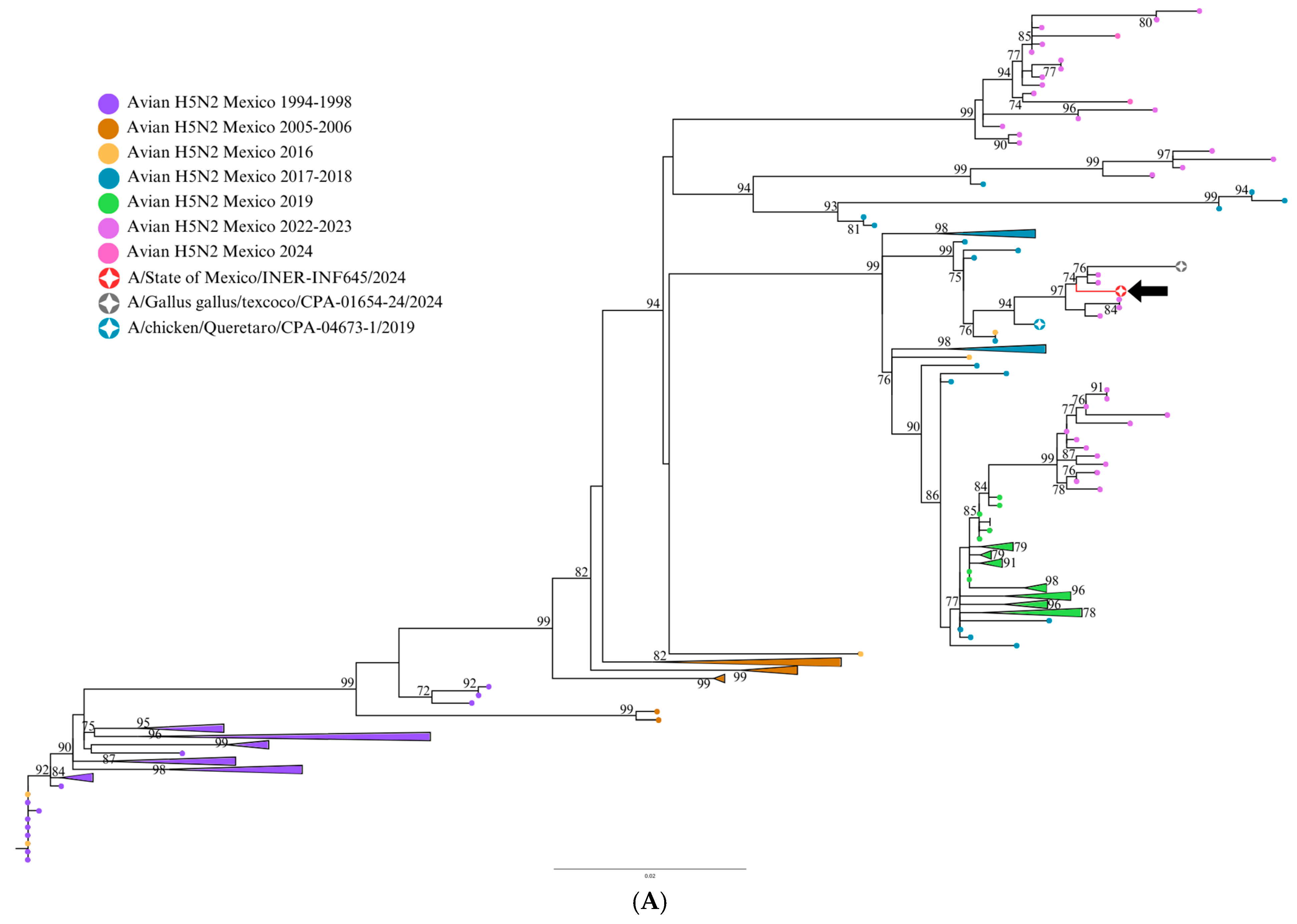 Viruses 17 00205 g002a