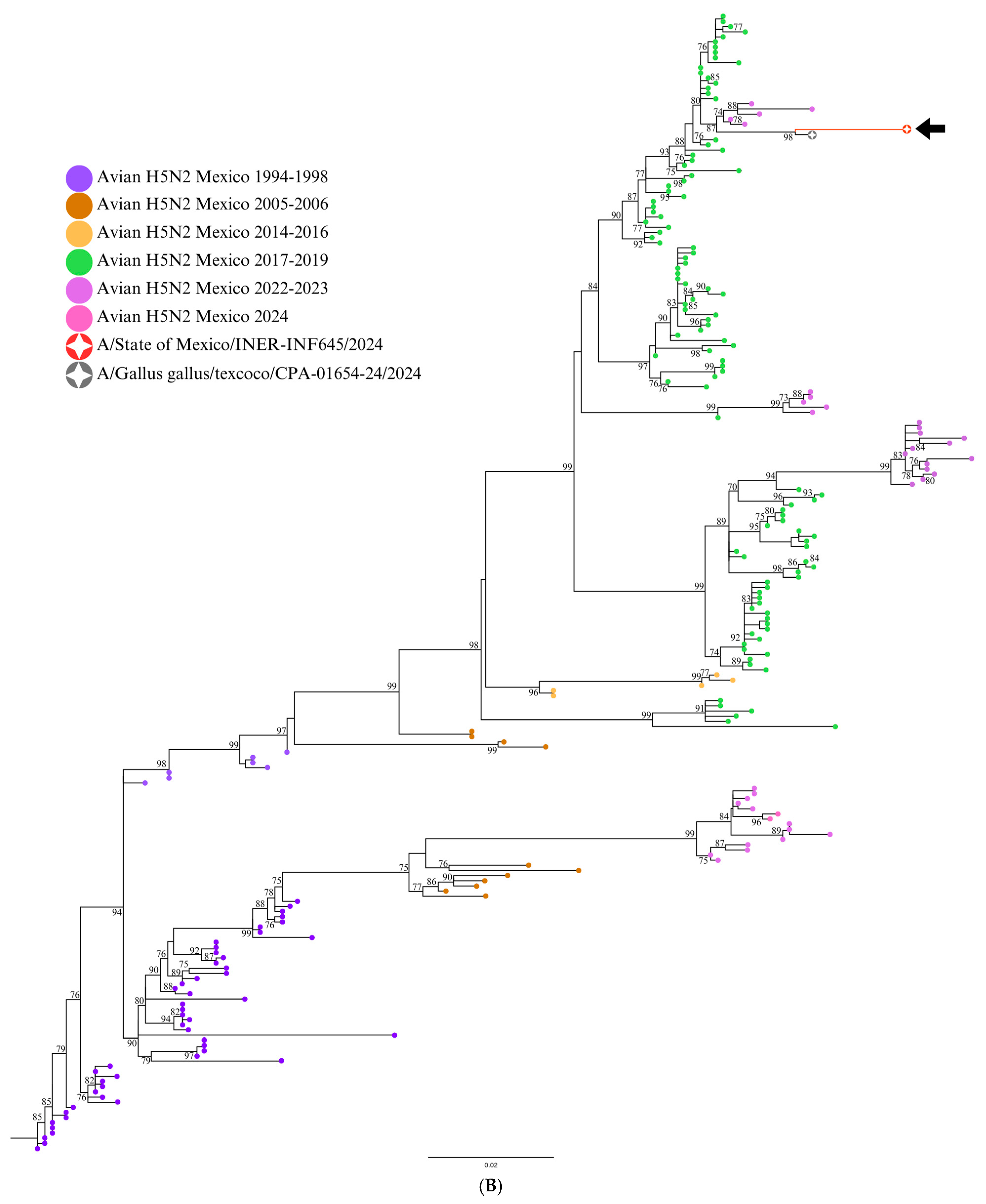 Viruses 17 00205 g002b