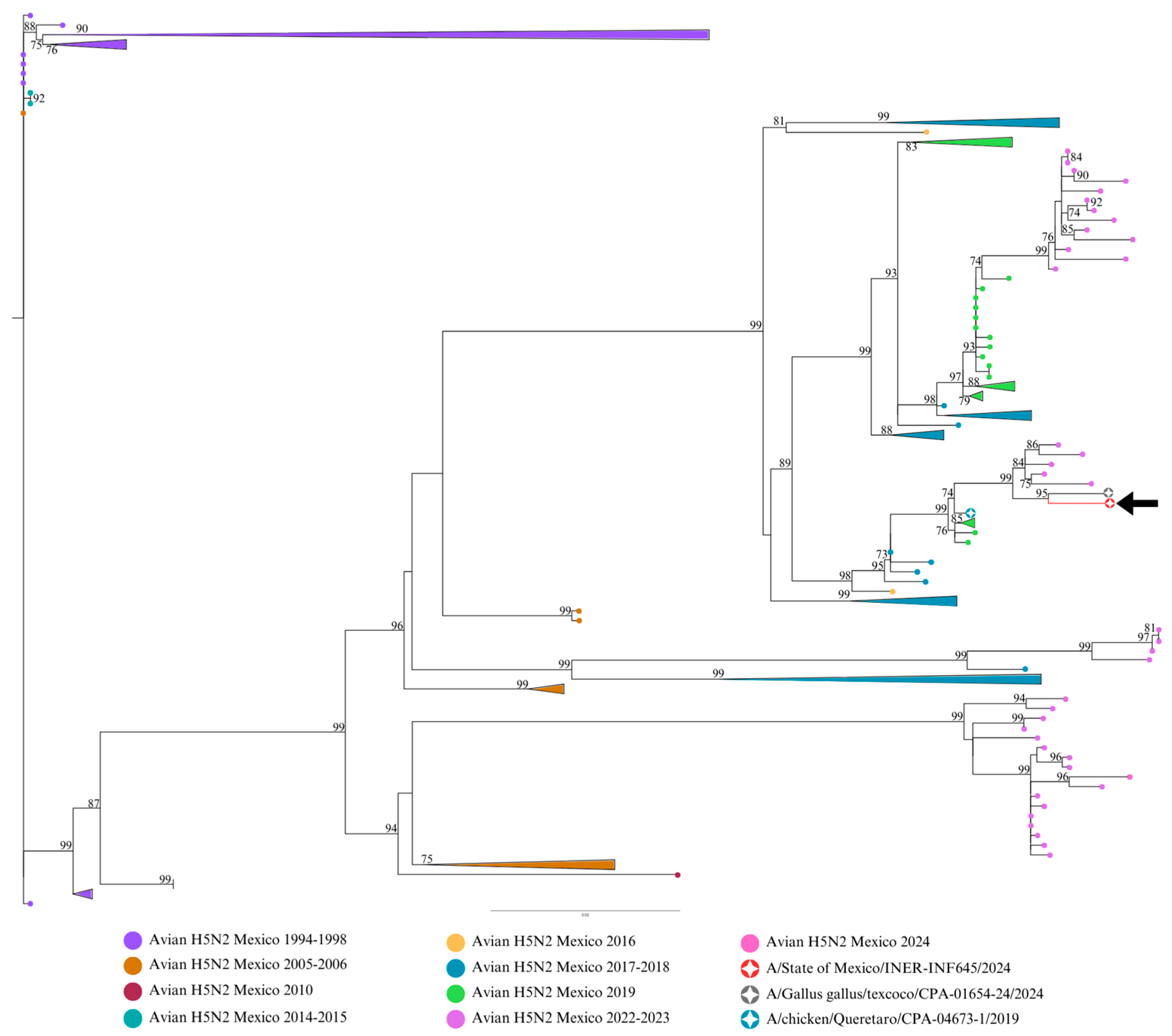 Viruses 17 00205 g003