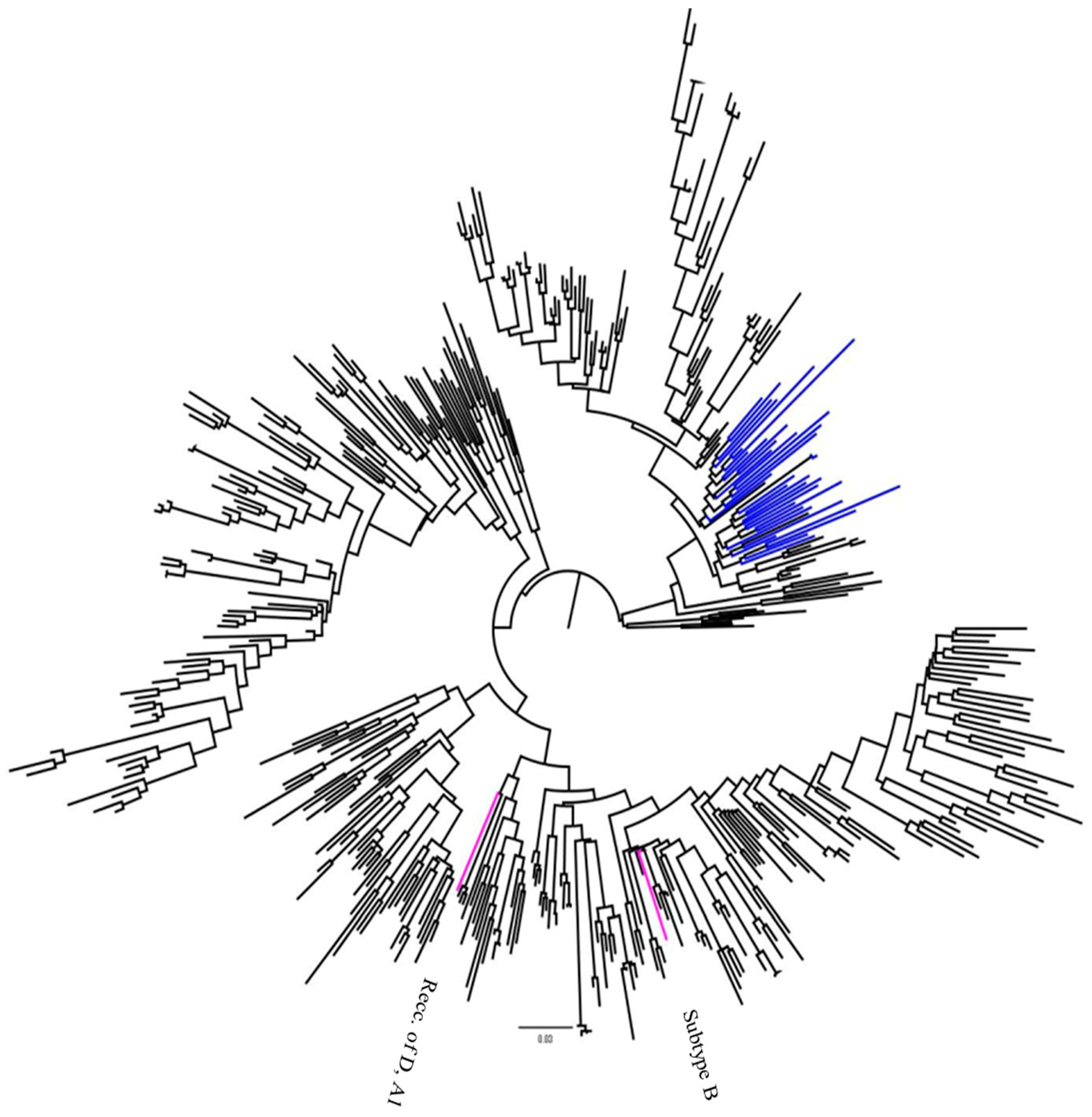 Viruses 17 00206 g002